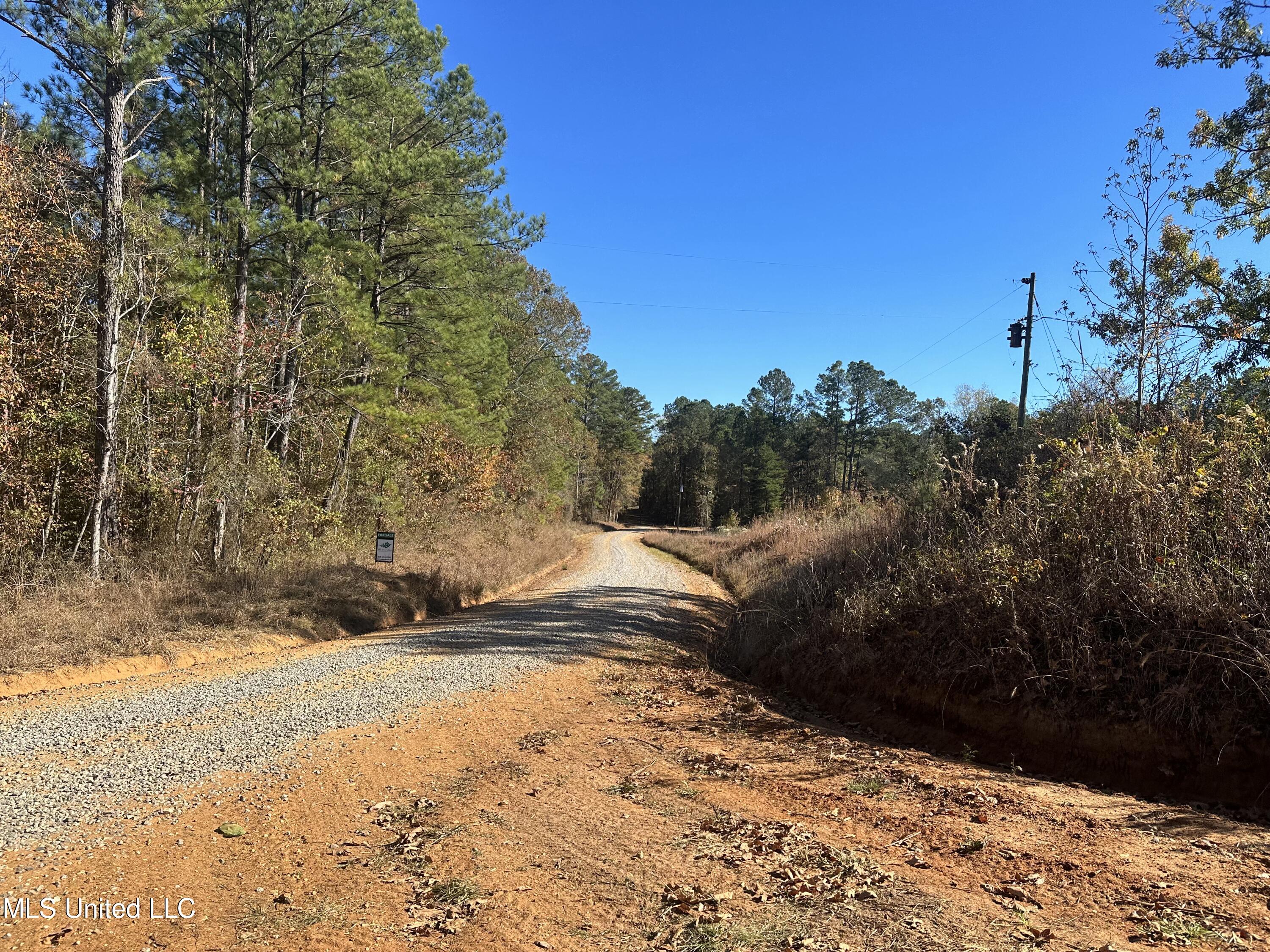 Hugh Hudnall Road Road, Decatur, Mississippi image 24