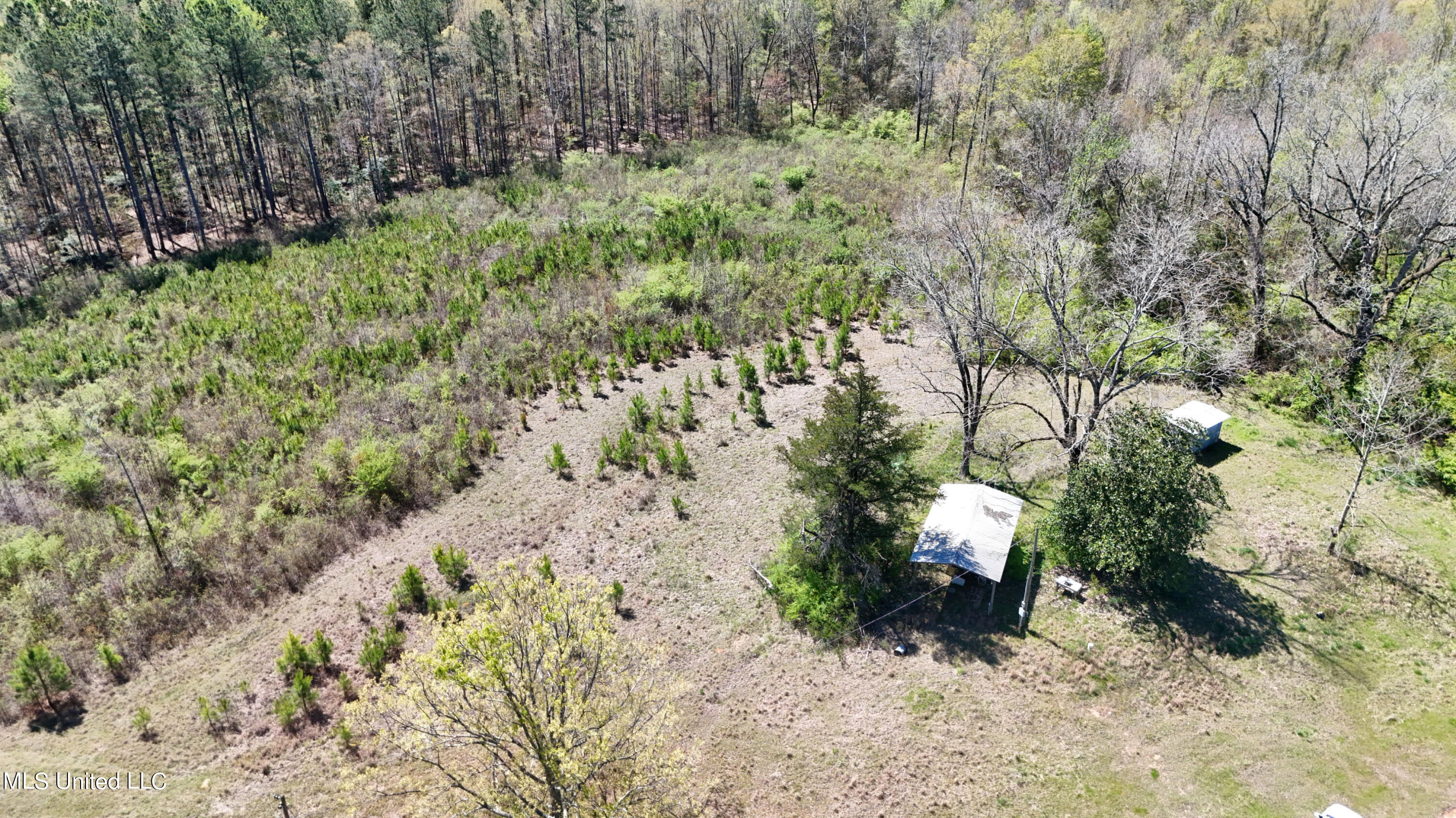 Hugh Hudnall Road Road, Decatur, Mississippi image 9