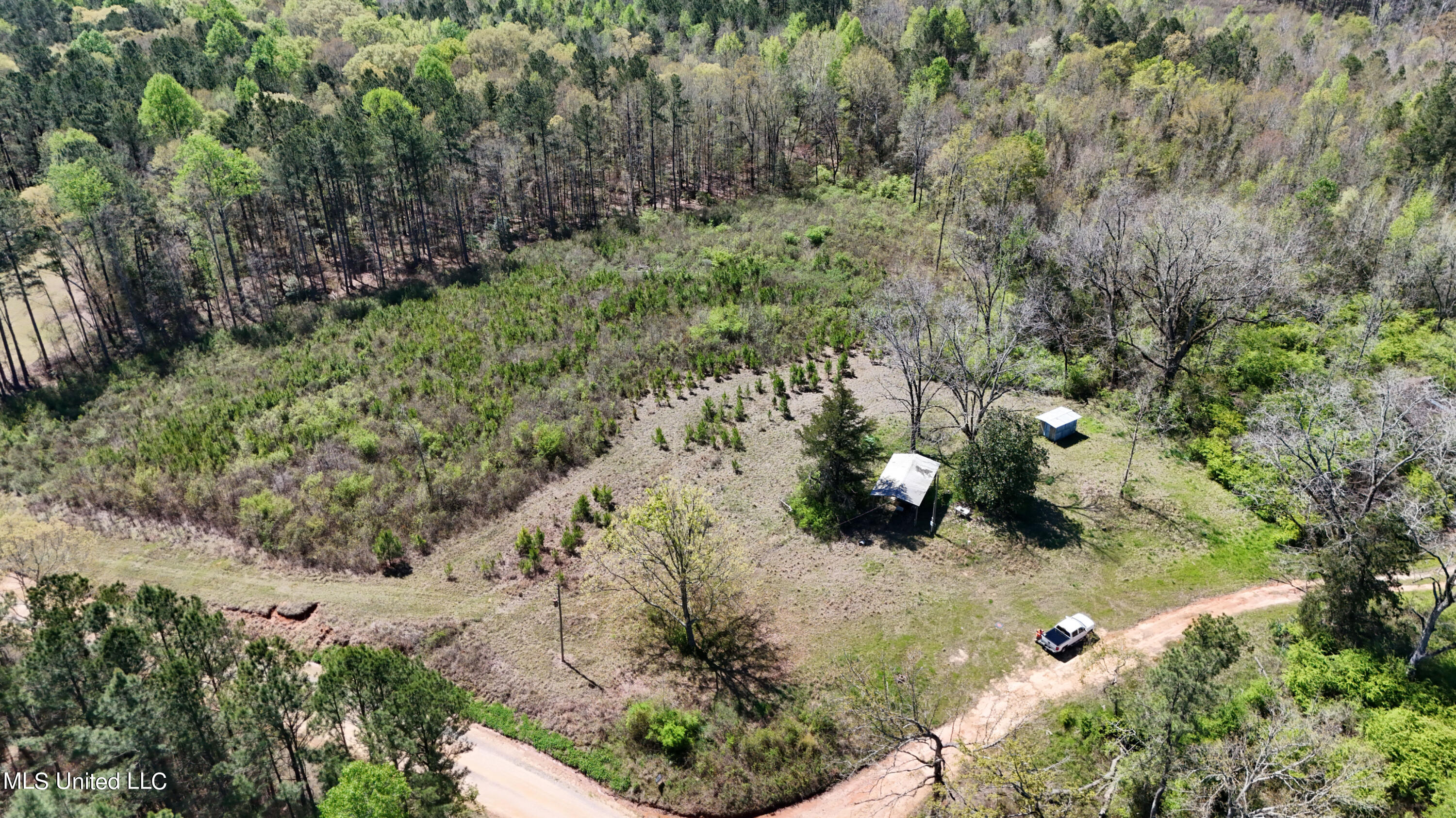 Hugh Hudnall Road Road, Decatur, Mississippi image 8