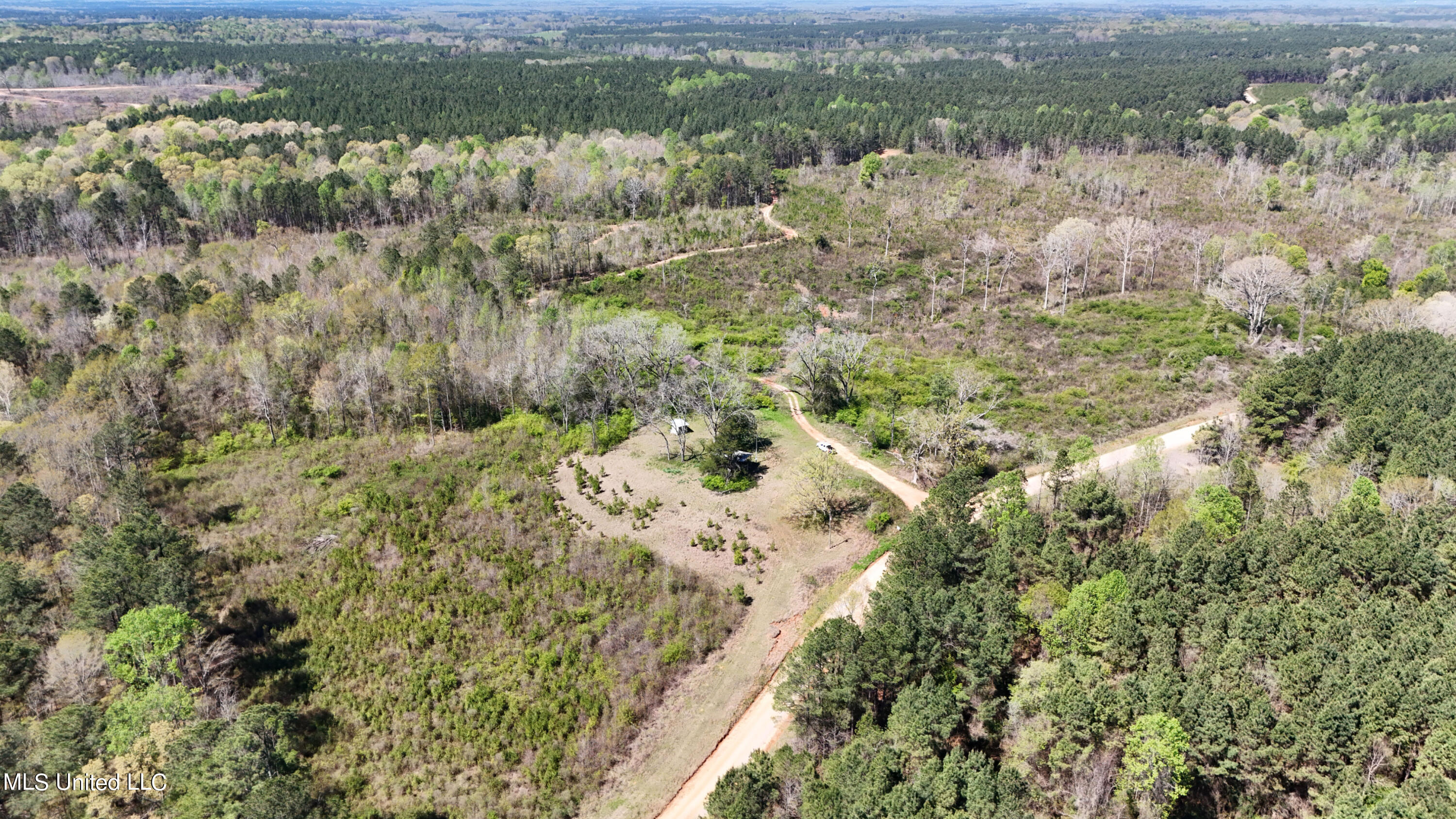 Hugh Hudnall Road Road, Decatur, Mississippi image 4