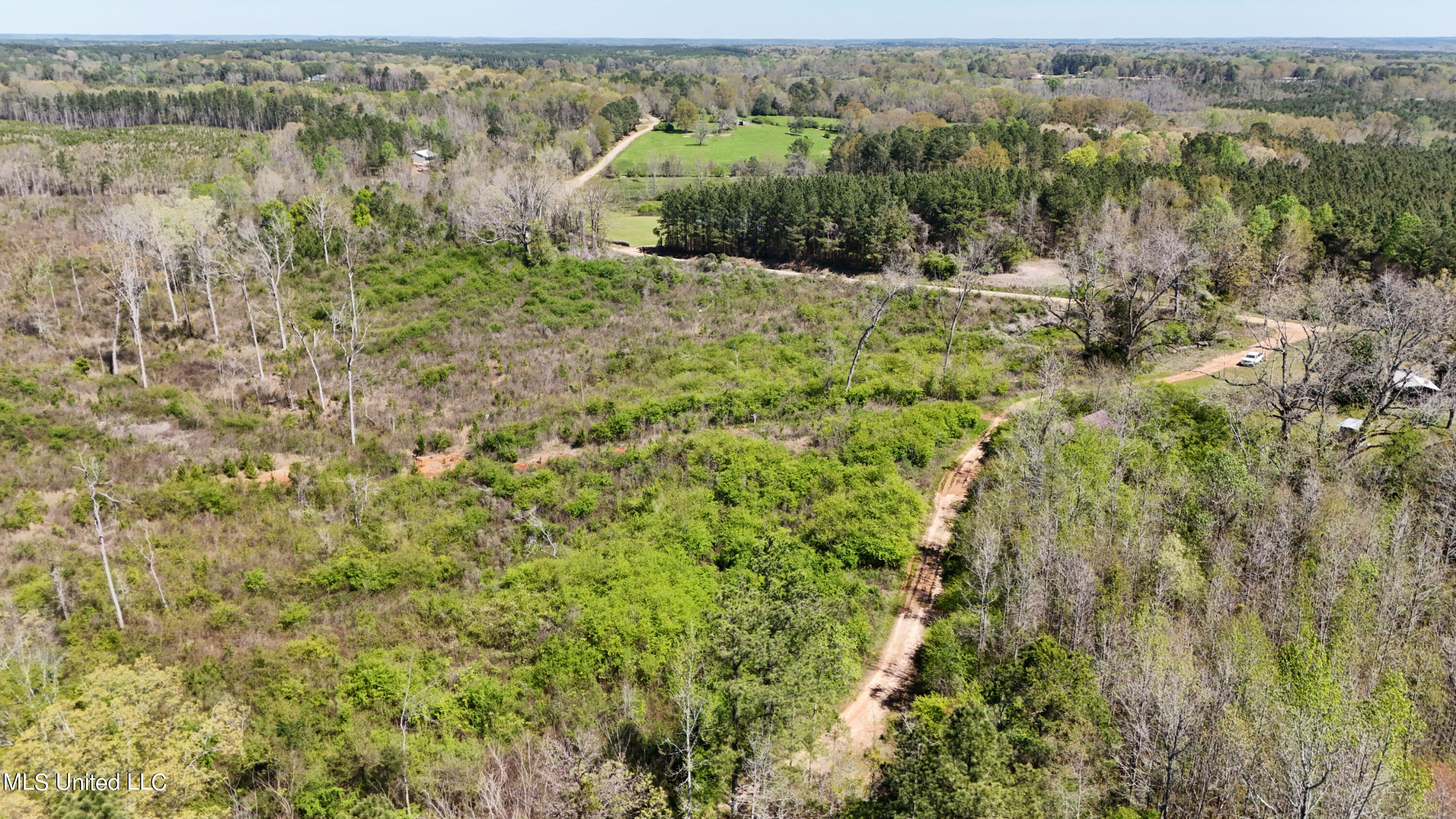 Hugh Hudnall Road Road, Decatur, Mississippi image 17