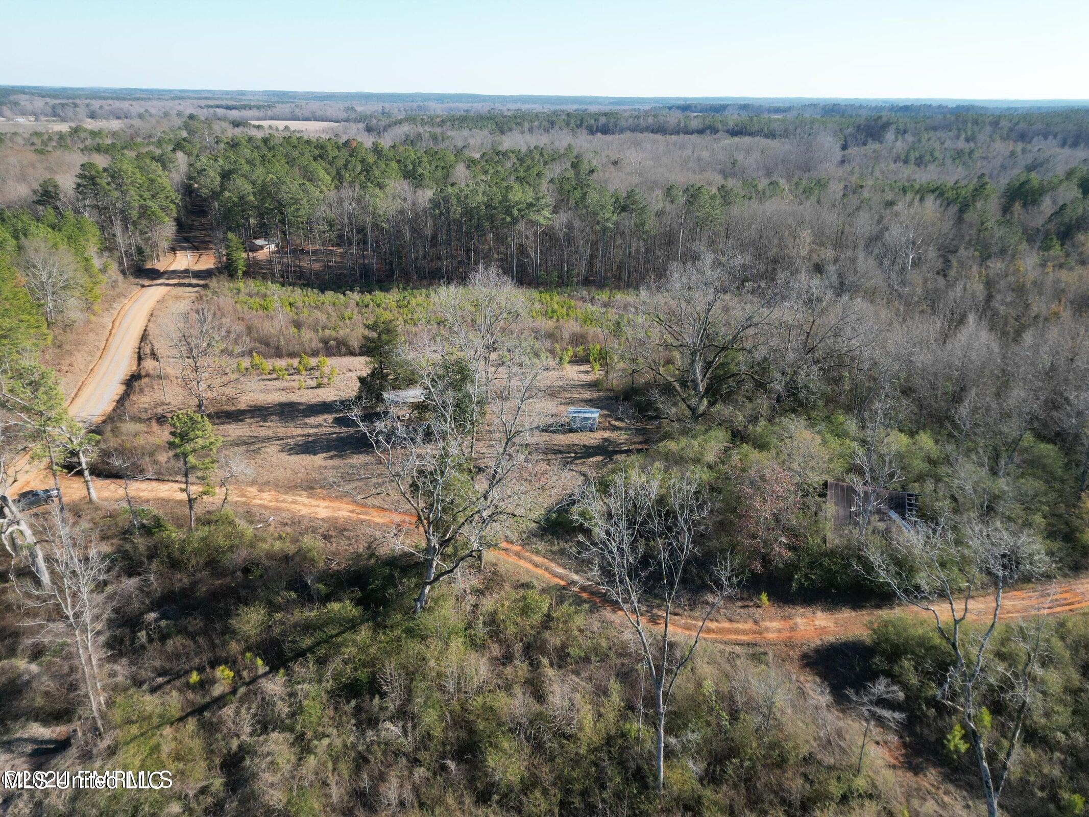 Hugh Hudnall Road Road, Decatur, Mississippi image 1