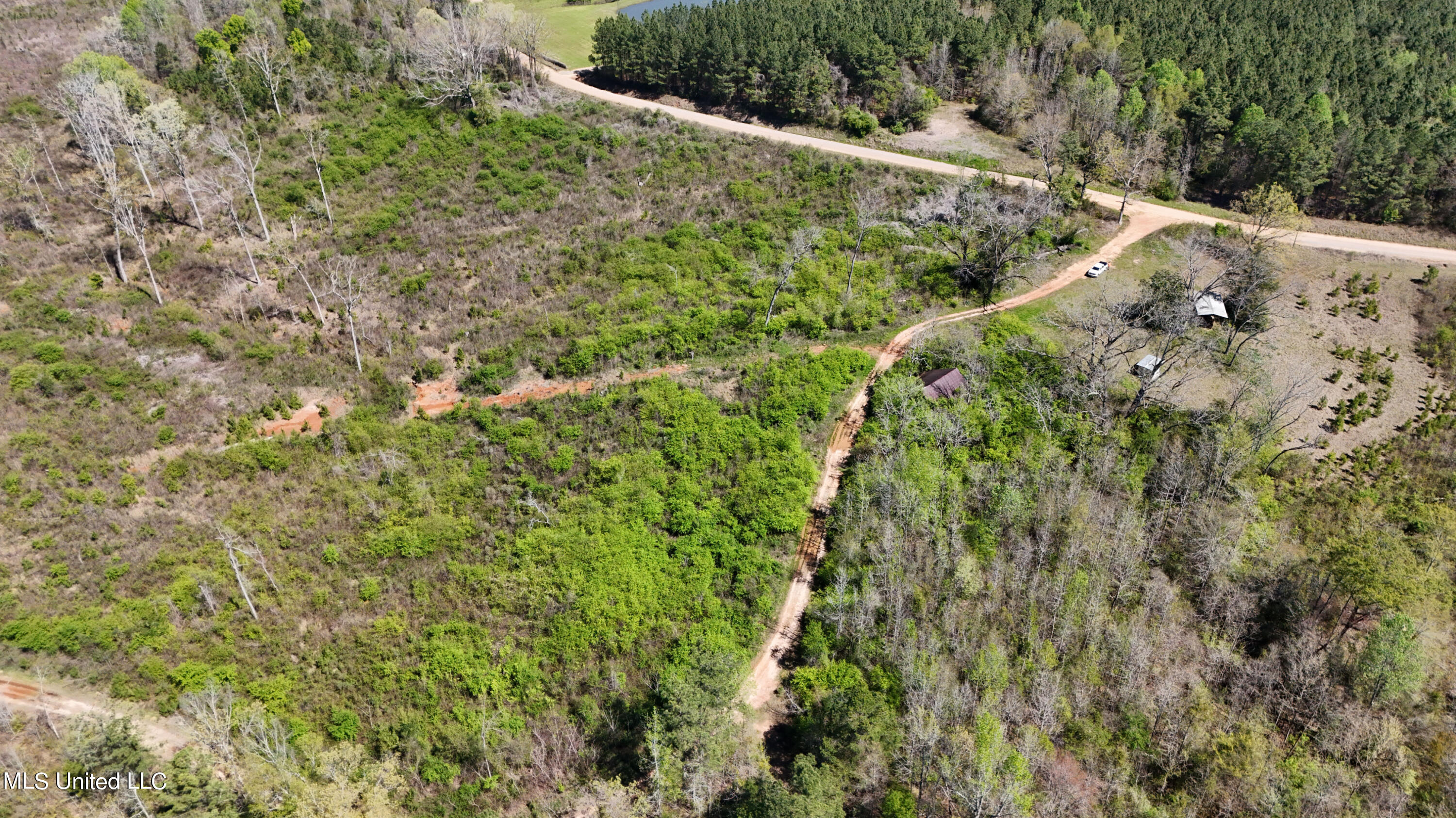 Hugh Hudnall Road Road, Decatur, Mississippi image 18