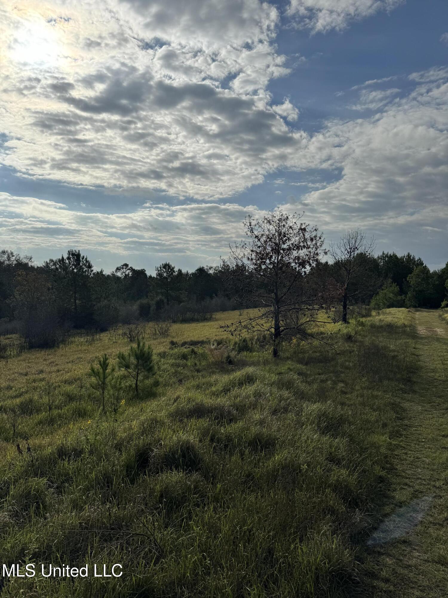 00 Tom Chance Road, Poplarville, Mississippi image 18