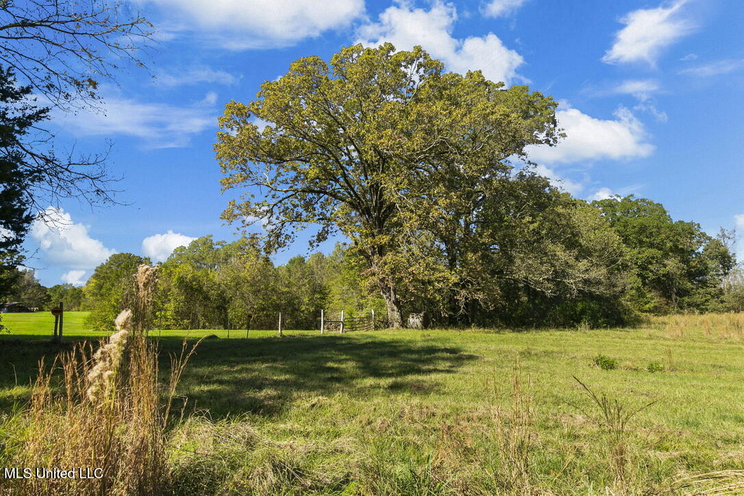 2665a Old Hwy 49, Bentonia, Mississippi image 45