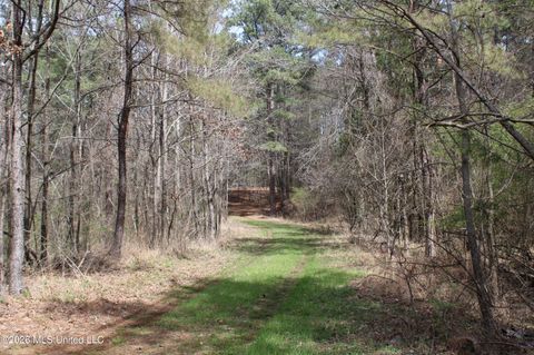 Vacant Land For Sale - 4500 Jaybird Road<br/> Hernando, MS 38632
