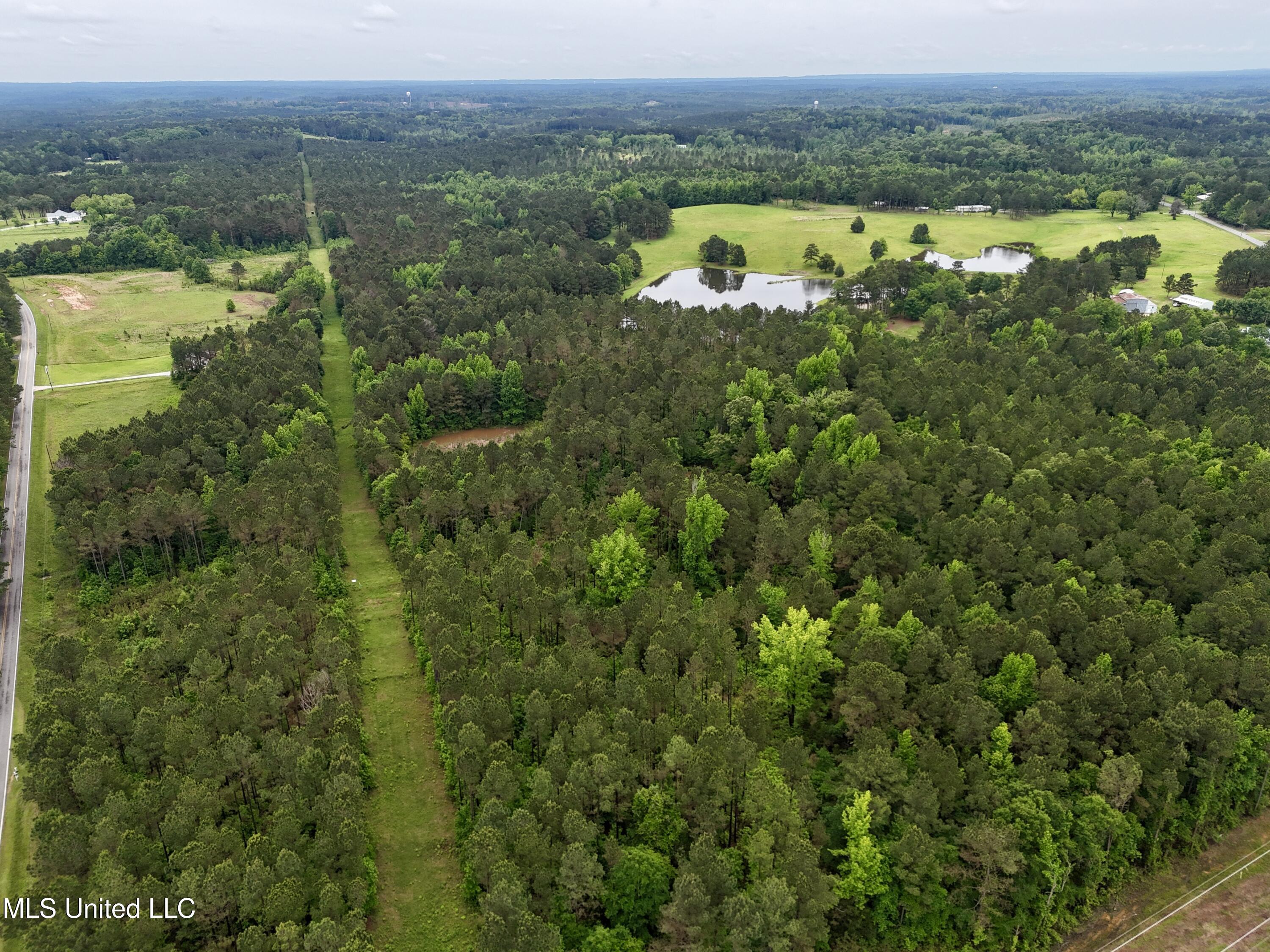 0000 Mount Carmel Road, Daleville, Mississippi image 8