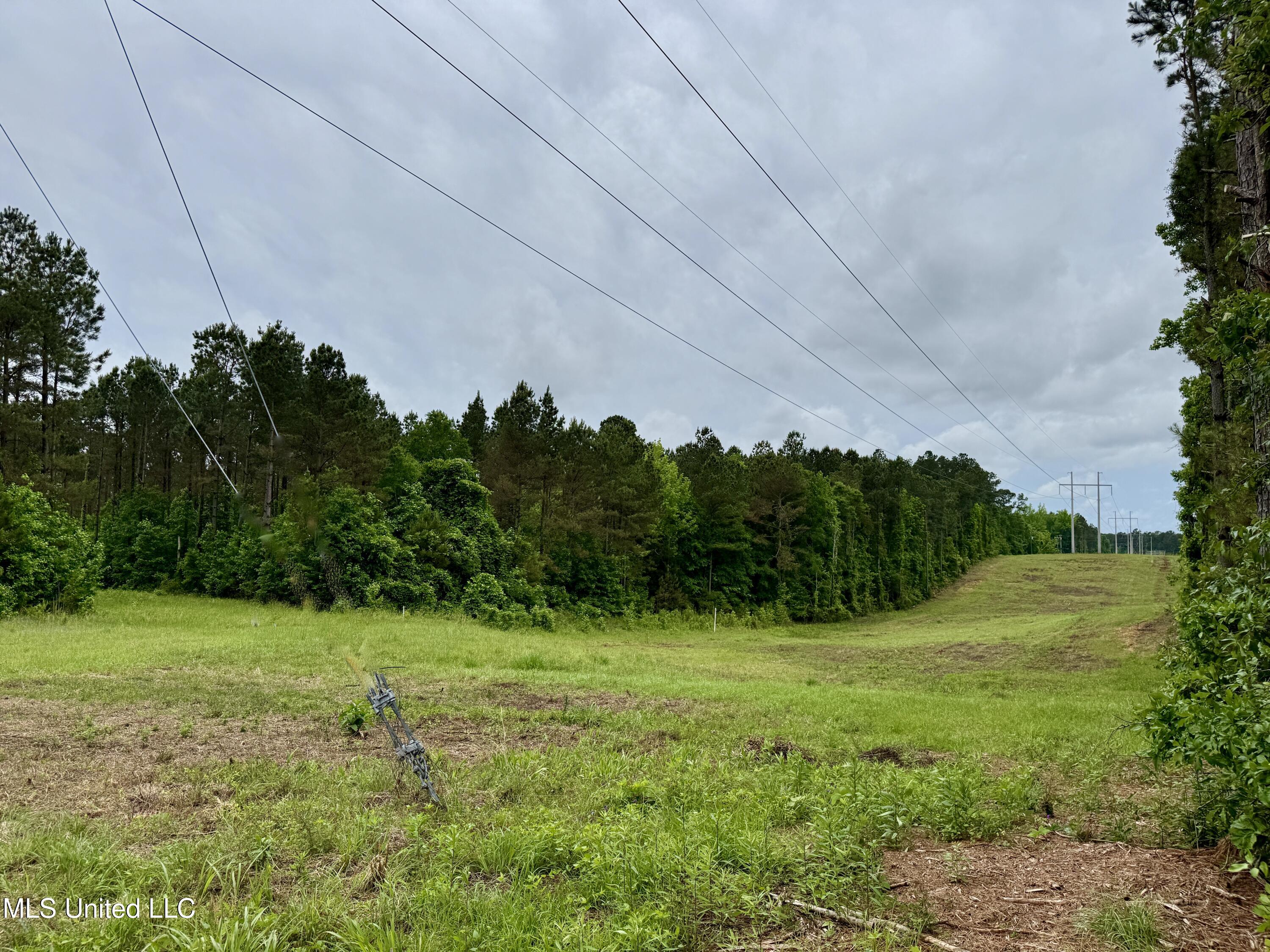 0000 Mount Carmel Road, Daleville, Mississippi image 6