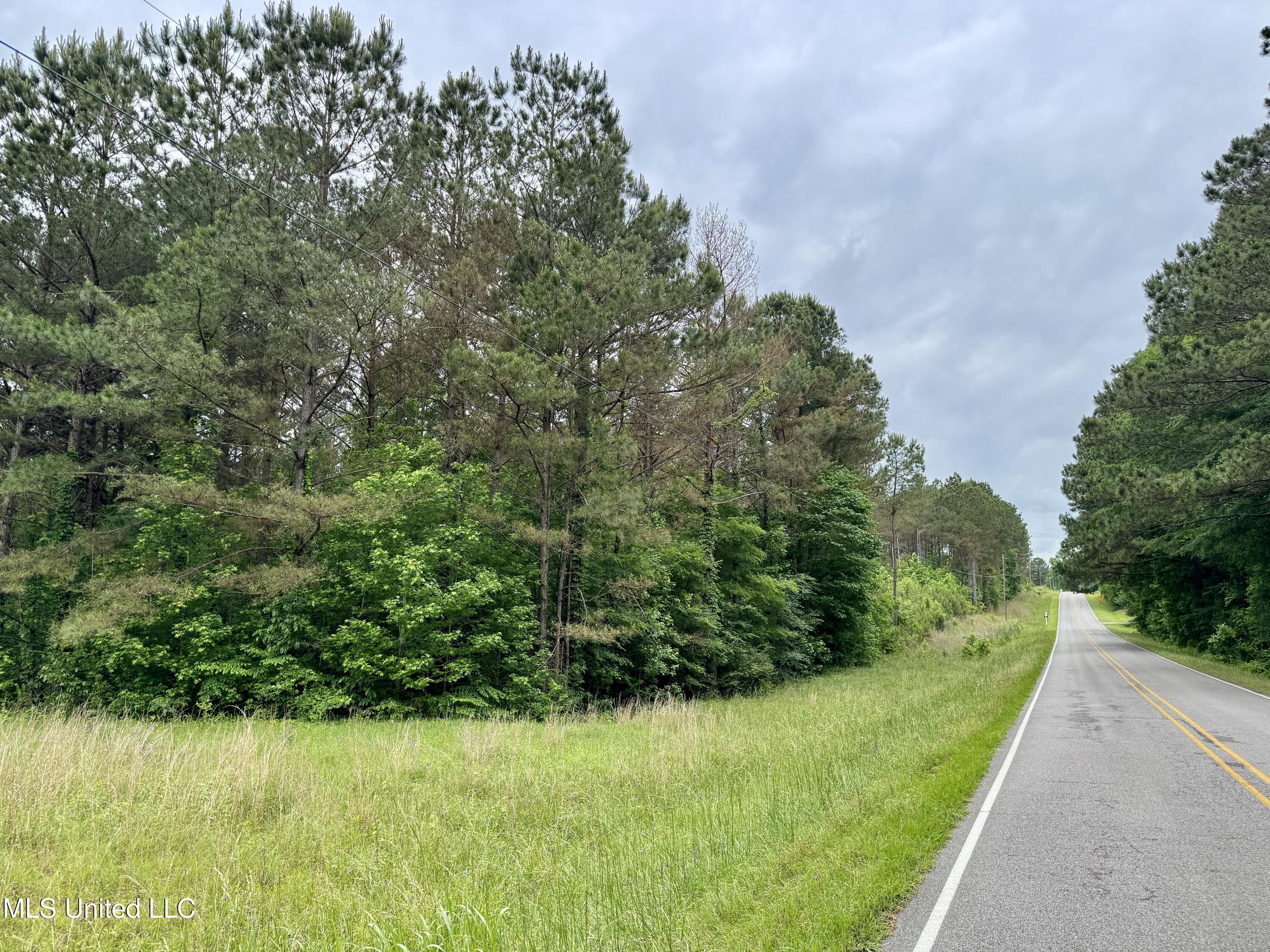 0000 Mount Carmel Road, Daleville, Mississippi image 19