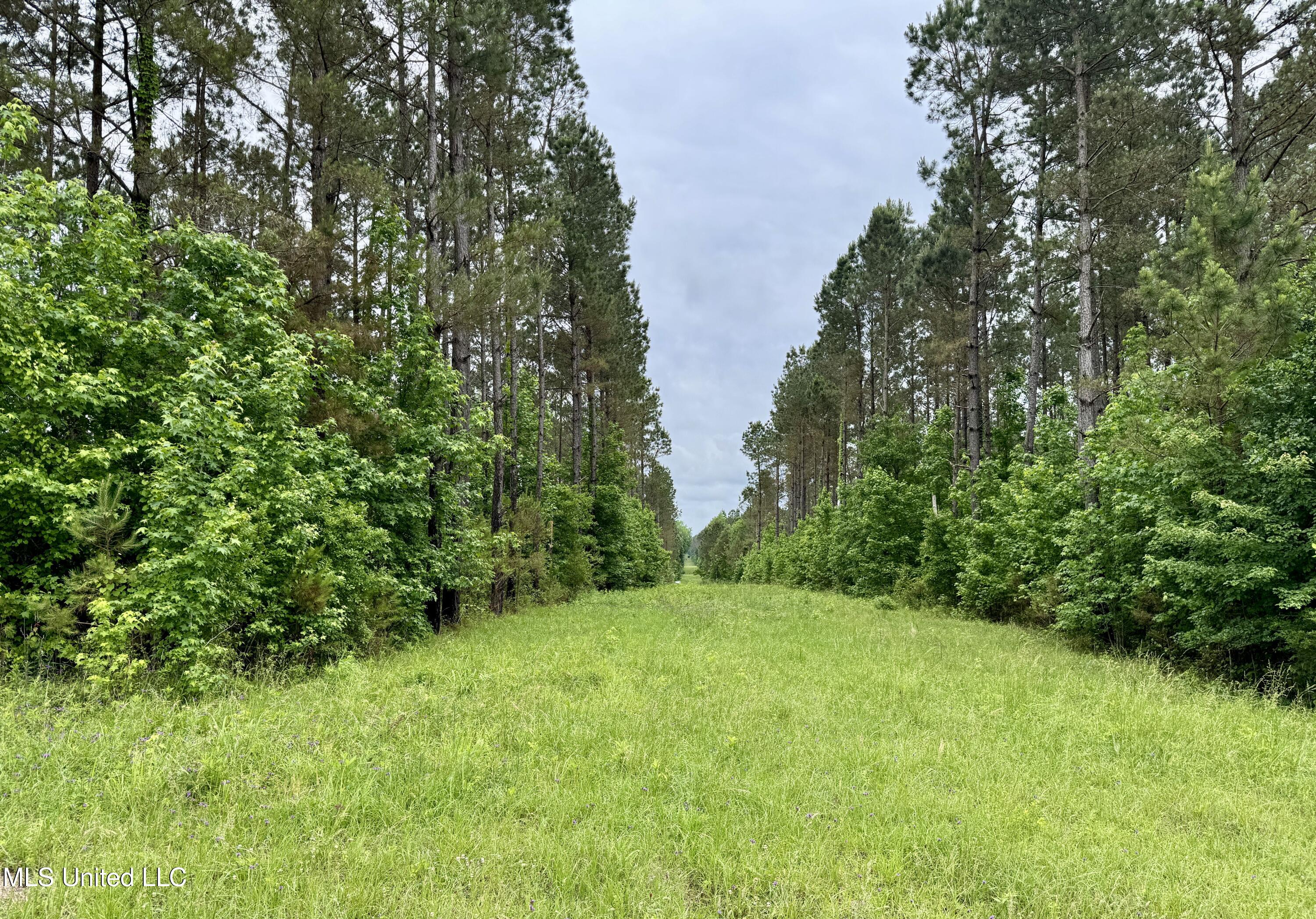 0000 Mount Carmel Road, Daleville, Mississippi image 9