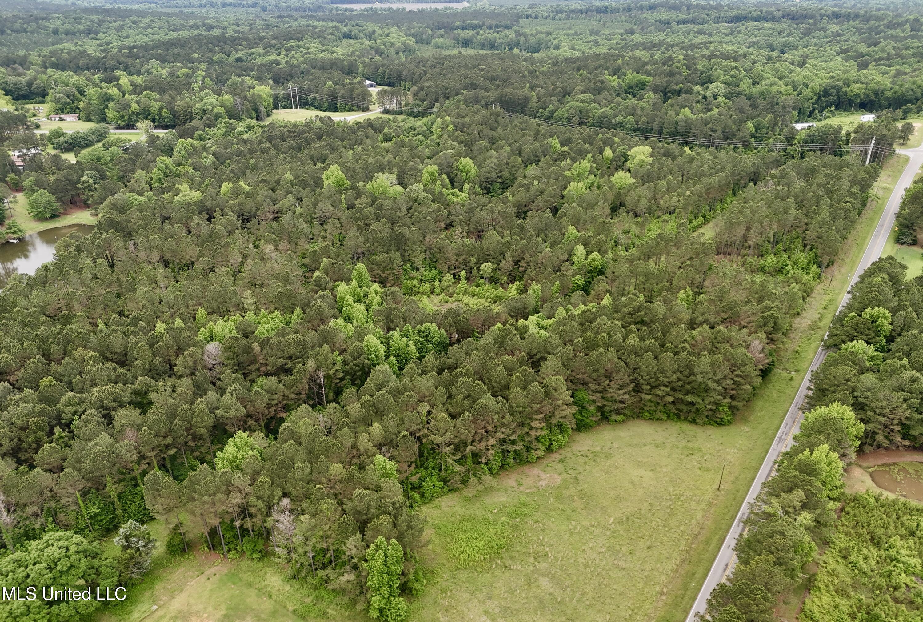0000 Mount Carmel Road, Daleville, Mississippi image 18
