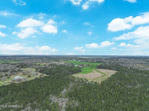 Vacant Land For Sale - Highway 43 Parcel 1 And 2<br/> Kiln, MS 39556