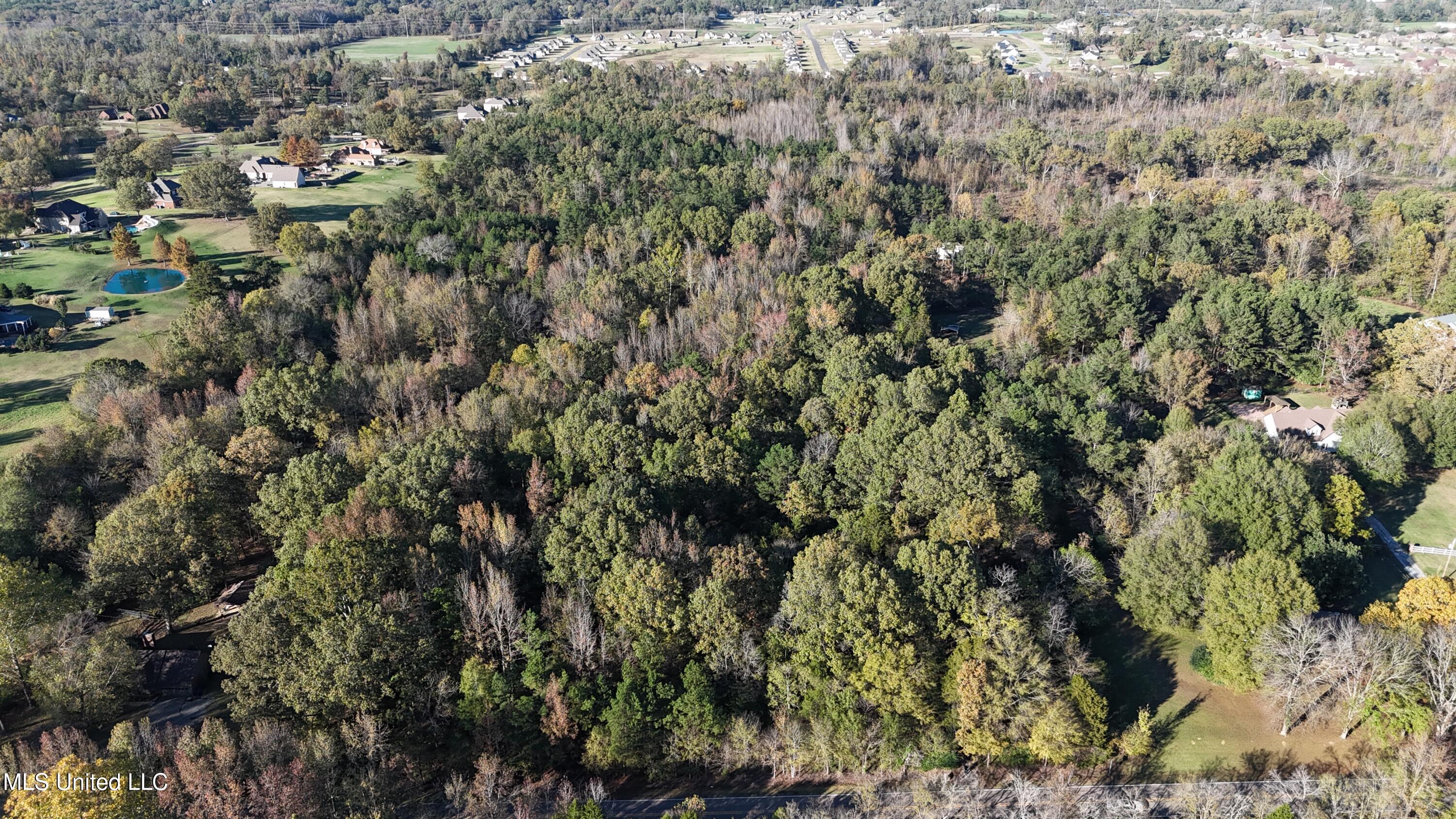 Bethel Road, Olive Branch, Mississippi image 8