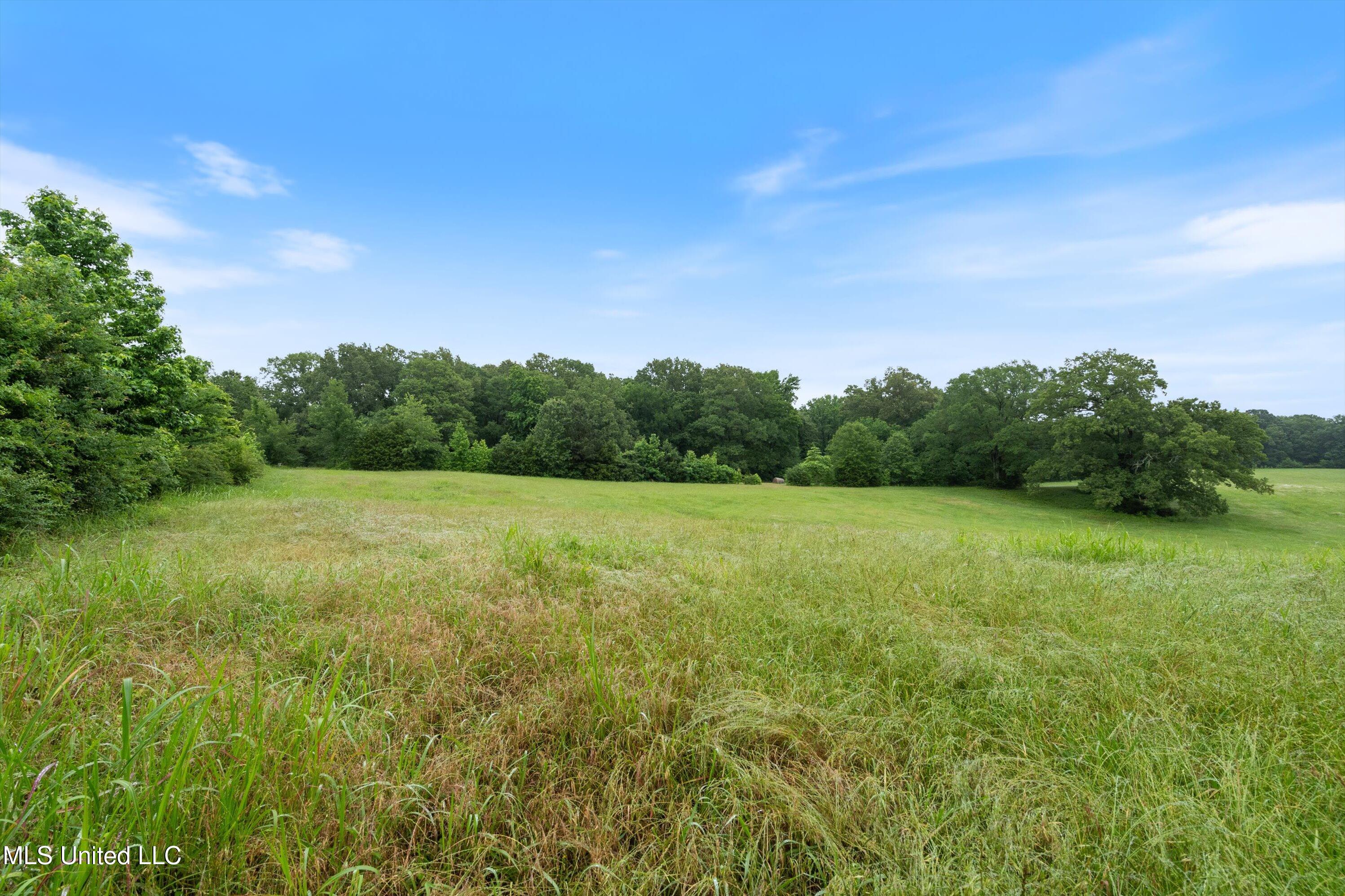 955 Carlton Road, Coldwater, Mississippi image 41