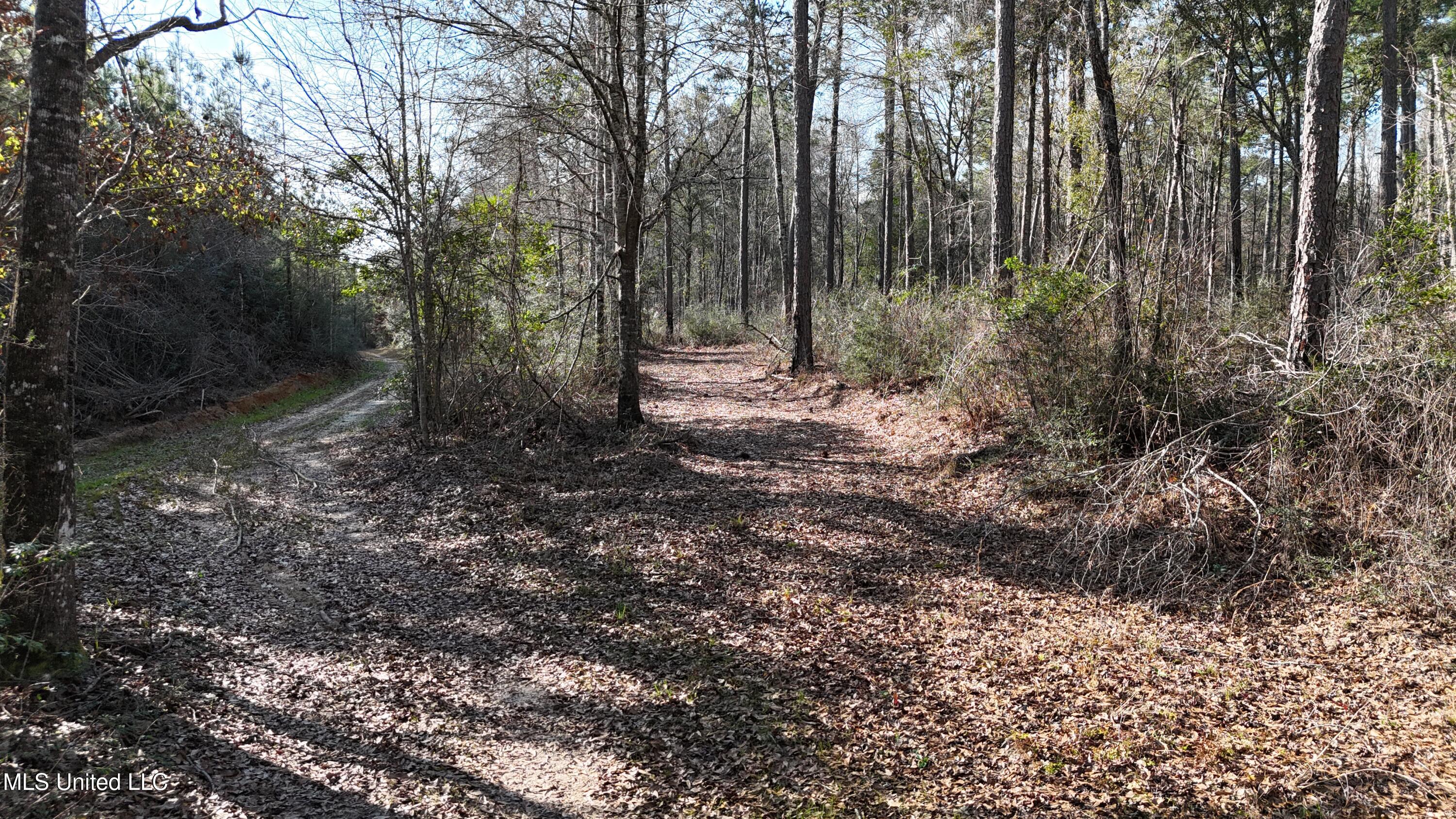588 B Old Hwy 26, Perkinston, Mississippi image 4