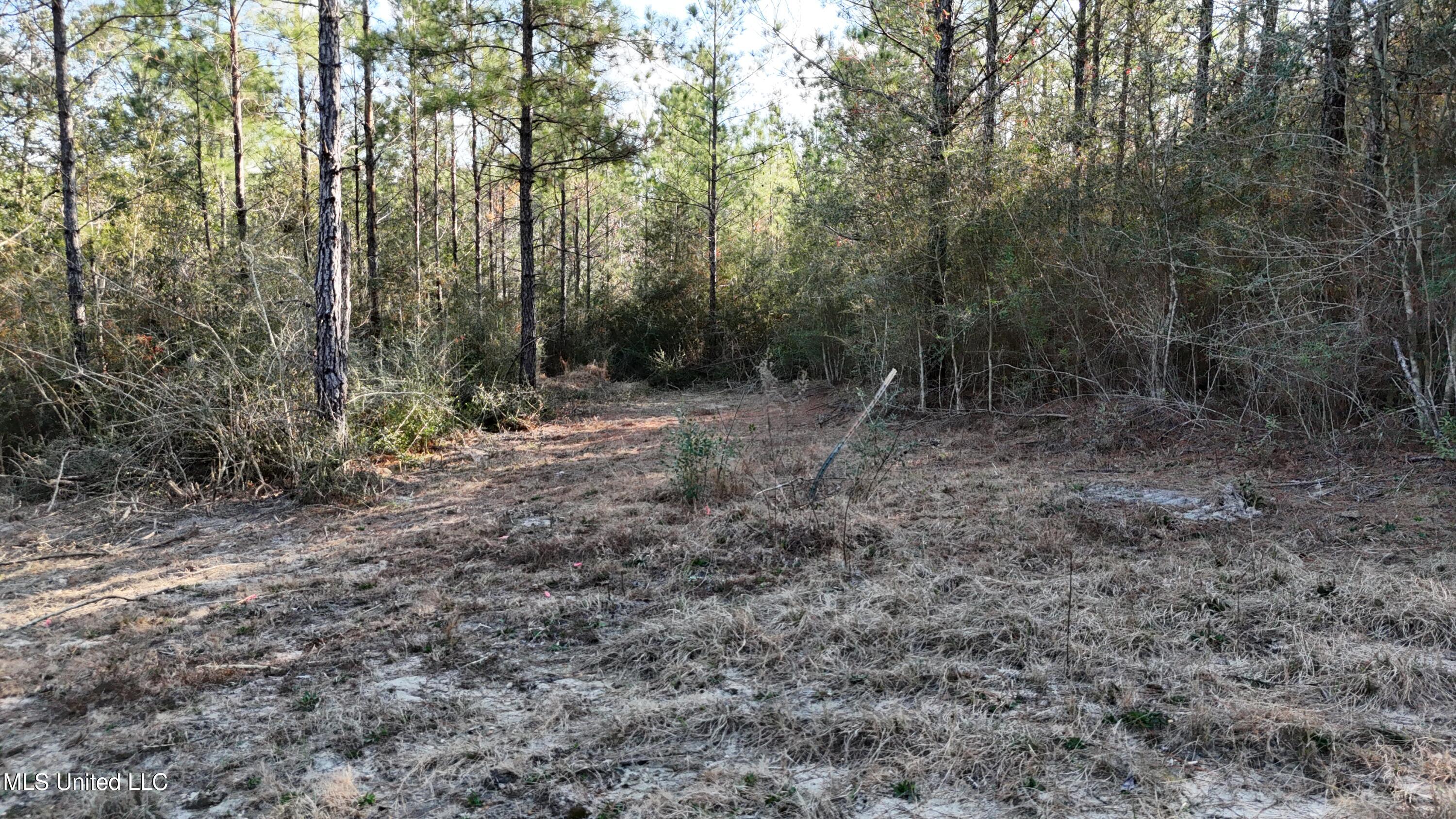 588 B Old Hwy 26, Perkinston, Mississippi image 9