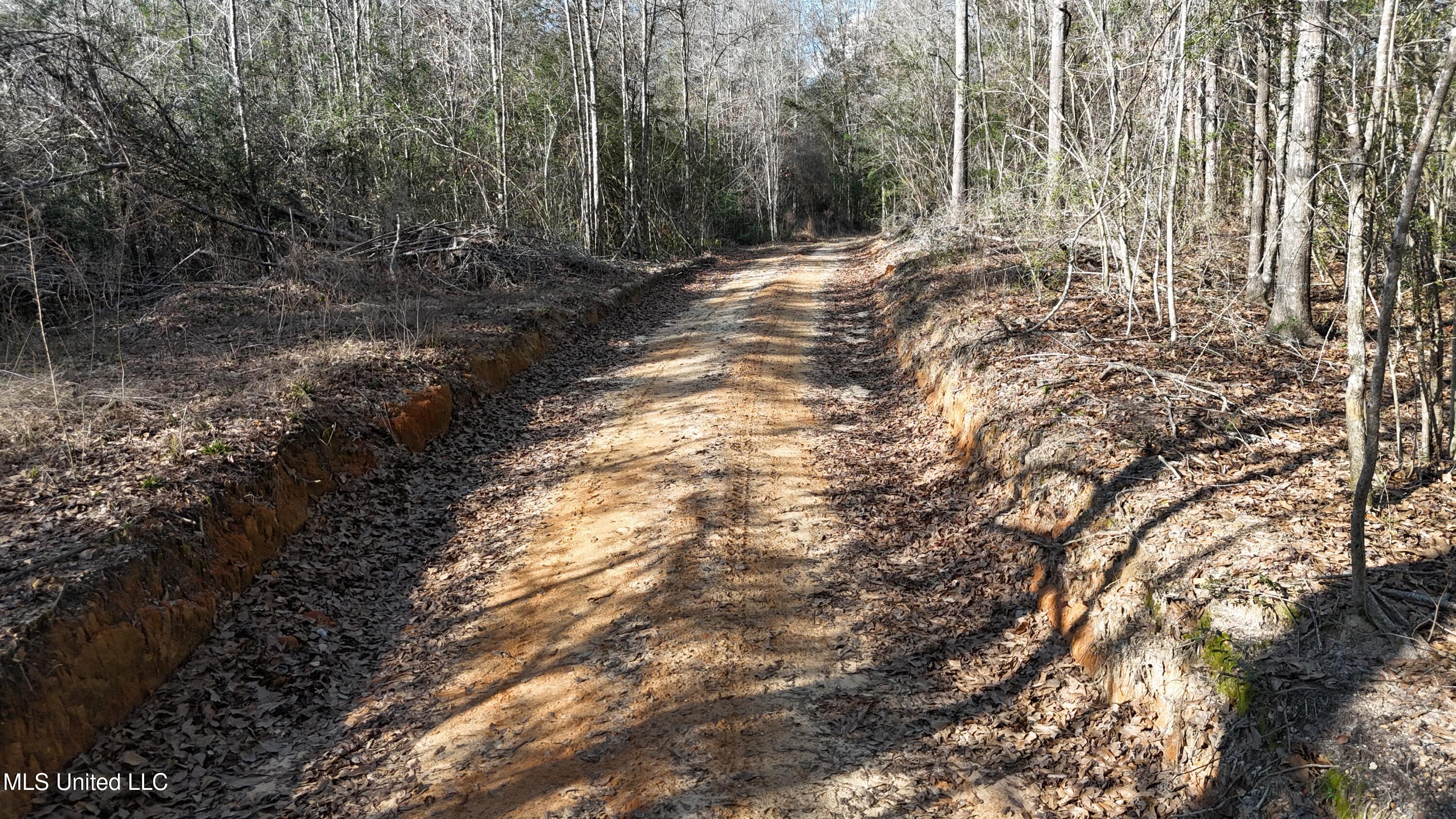 588 B Old Hwy 26, Perkinston, Mississippi image 3
