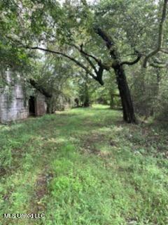 U.s. 49 Frontage Road, Richland, Mississippi image 1