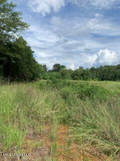 U.s. 49 Frontage Road, Richland, Mississippi image 3