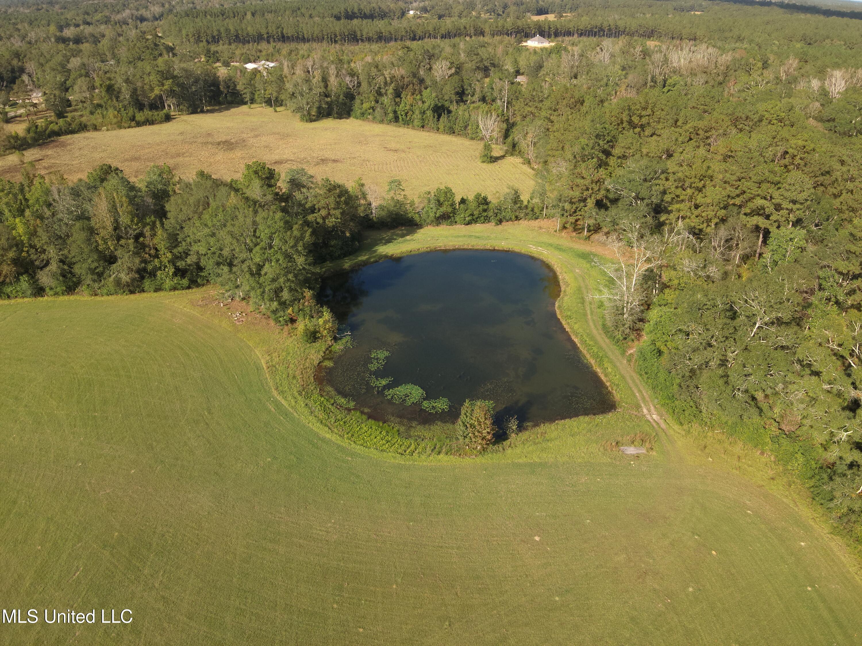 478 Sones Chapel Road, Carriere, Mississippi image 4