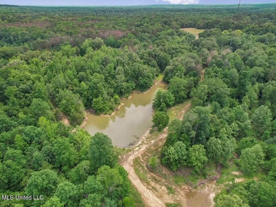 1600 Betigheimer Road, Edwards, Mississippi image 9