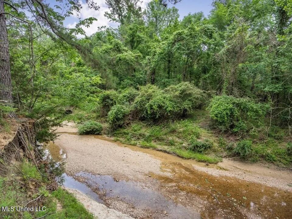 1600 Betigheimer Road, Edwards, Mississippi image 8