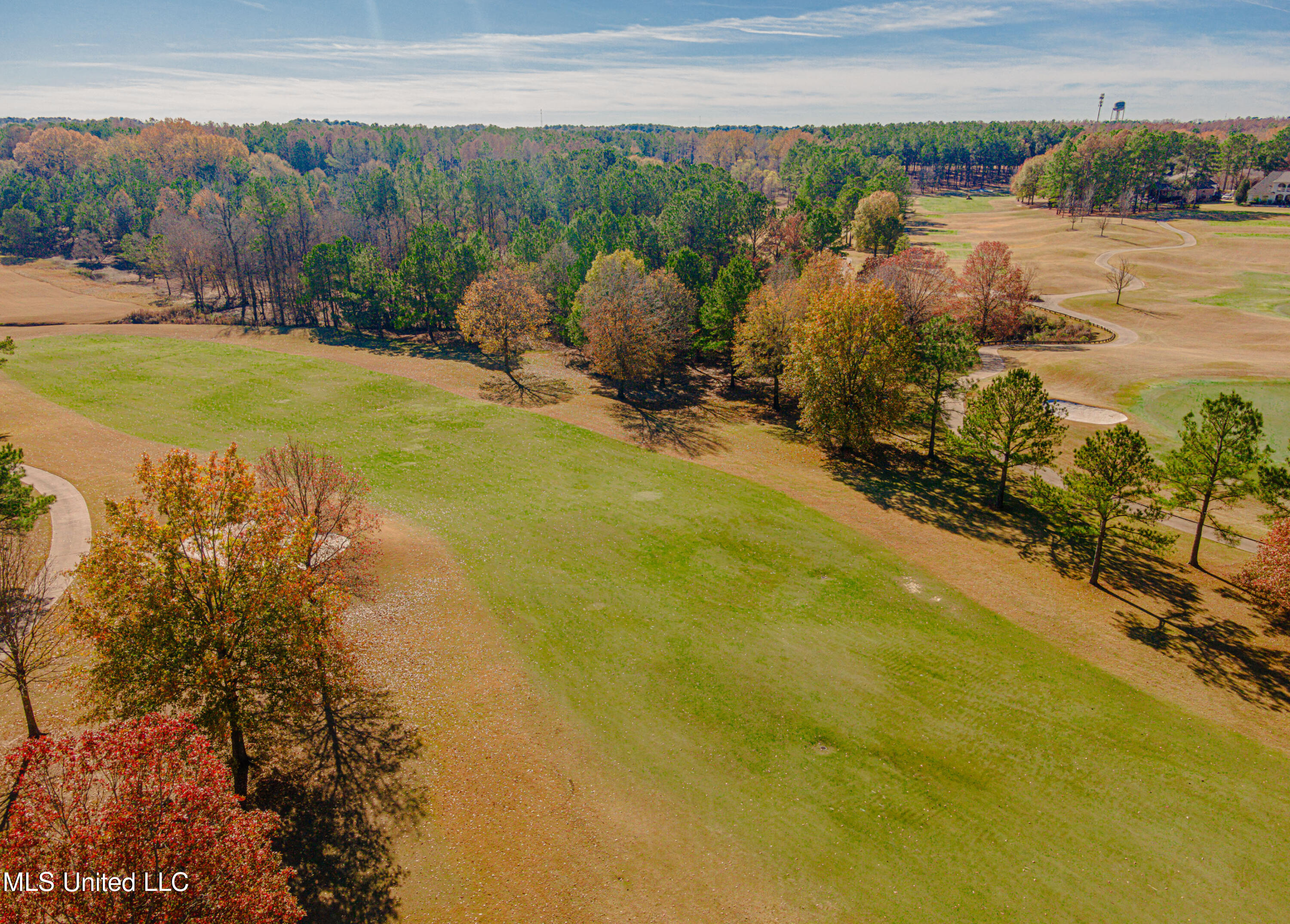 201 Reunion Drive, Madison, Mississippi image 12