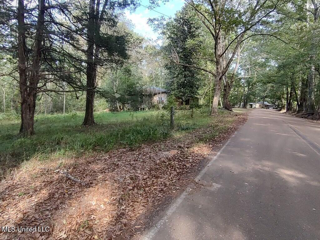 Wickliffe Road, Natchez, Mississippi image 2