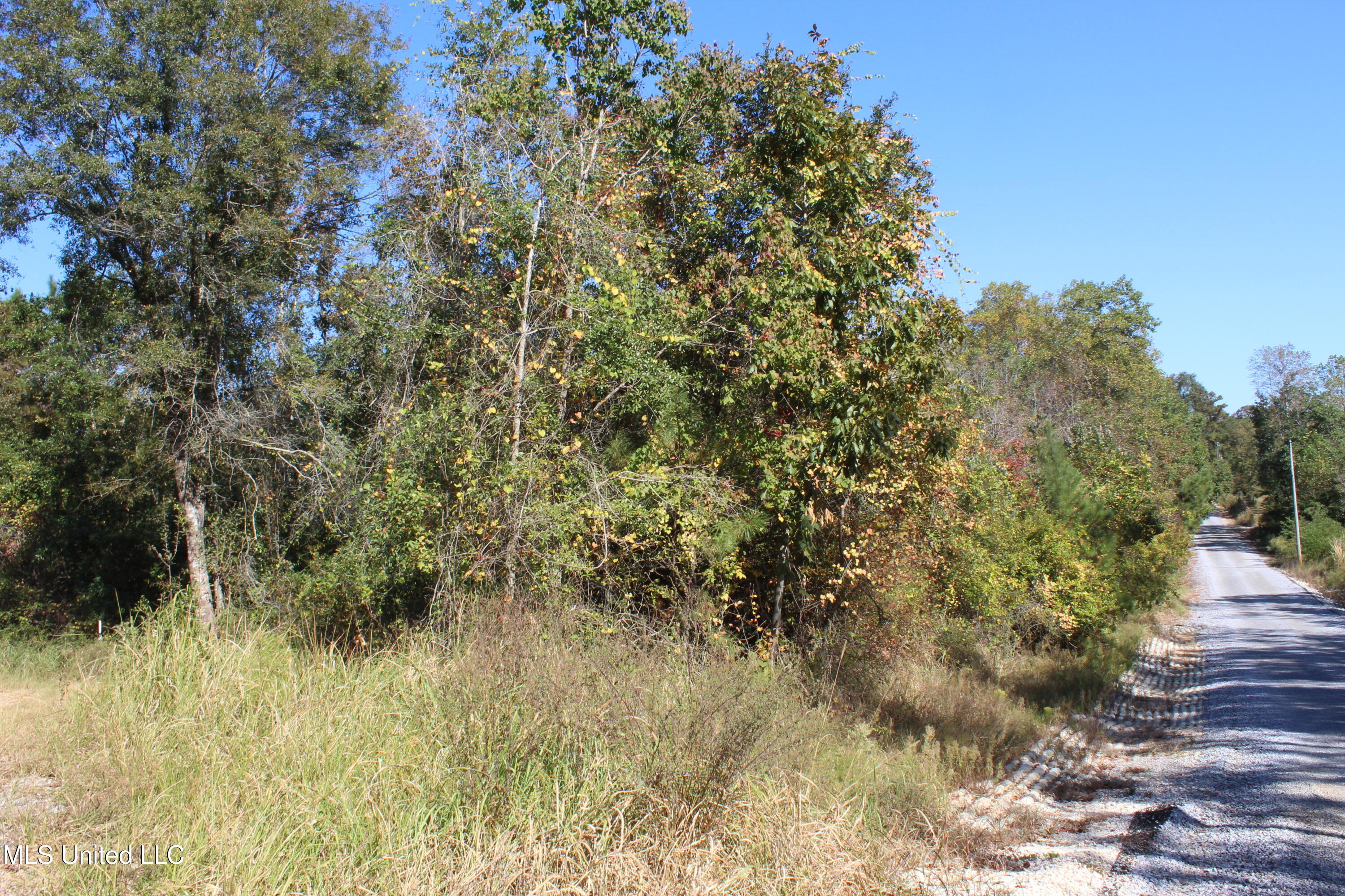 63.7 Acres Braydon Drive, Lucedale, Mississippi image 1