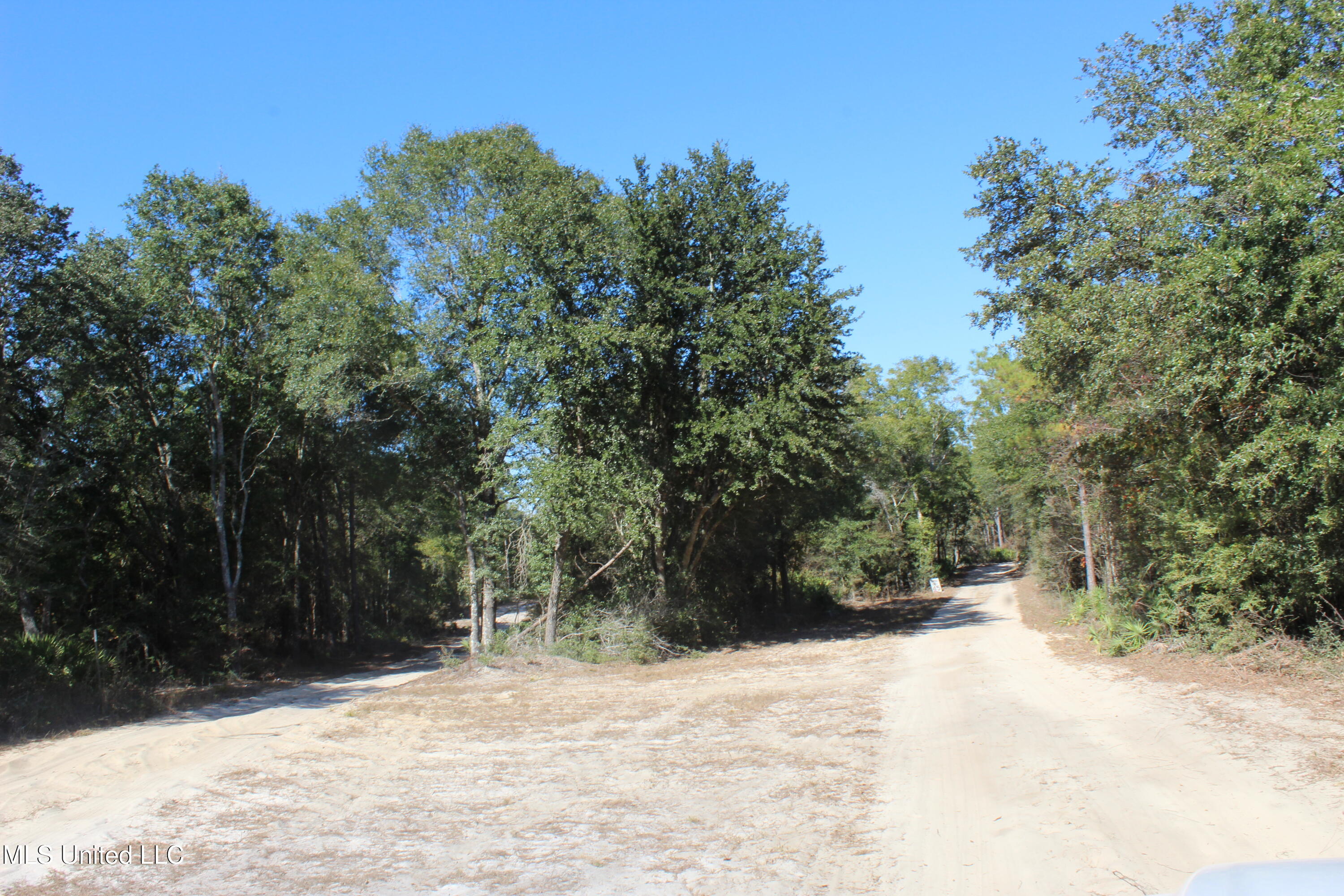 63.7 Acres Braydon Drive, Lucedale, Mississippi image 2