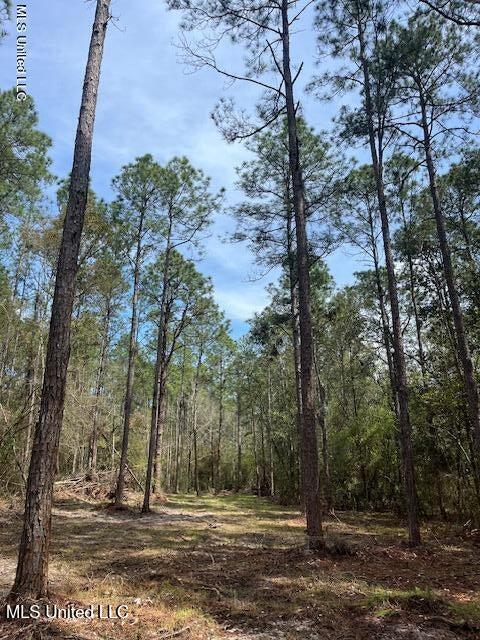 Ramie Farm Road, Lucedale, Mississippi image 1