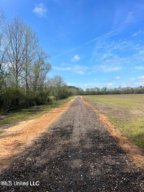 Ramie Farm Road, Lucedale, Mississippi image 10