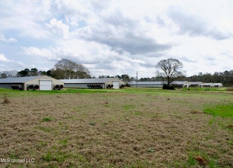 Vacant Land For Sale - 48 Fulgham Road<br/> Tylertown, MS 39667