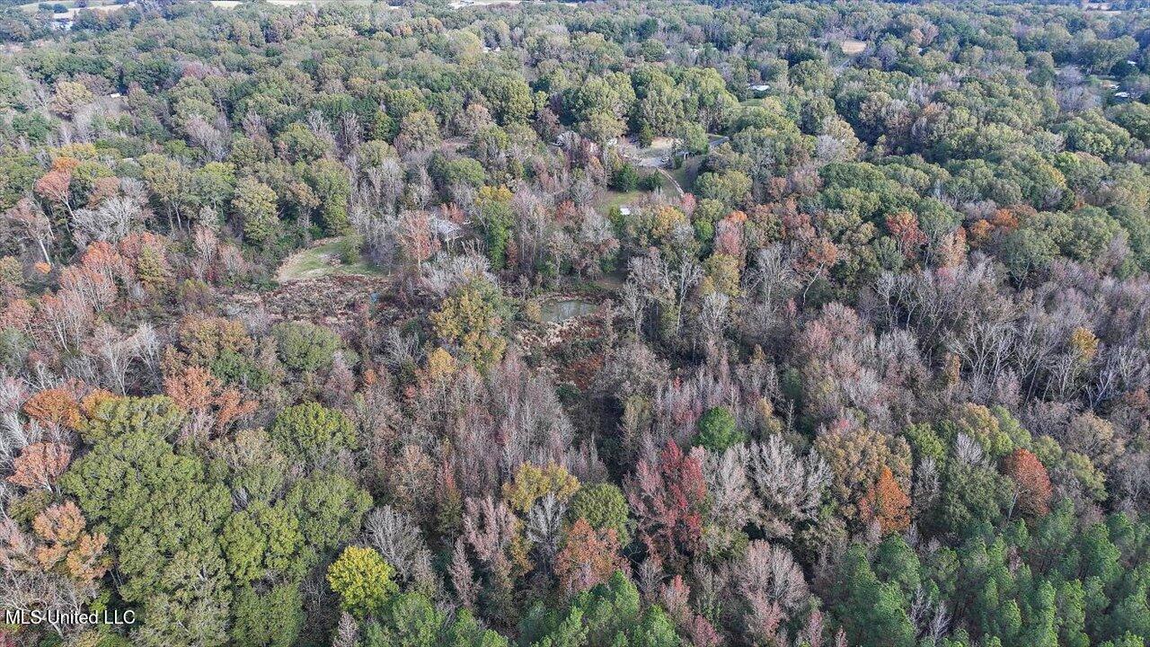 1011 Lake Drive, Raymond, Mississippi image 39