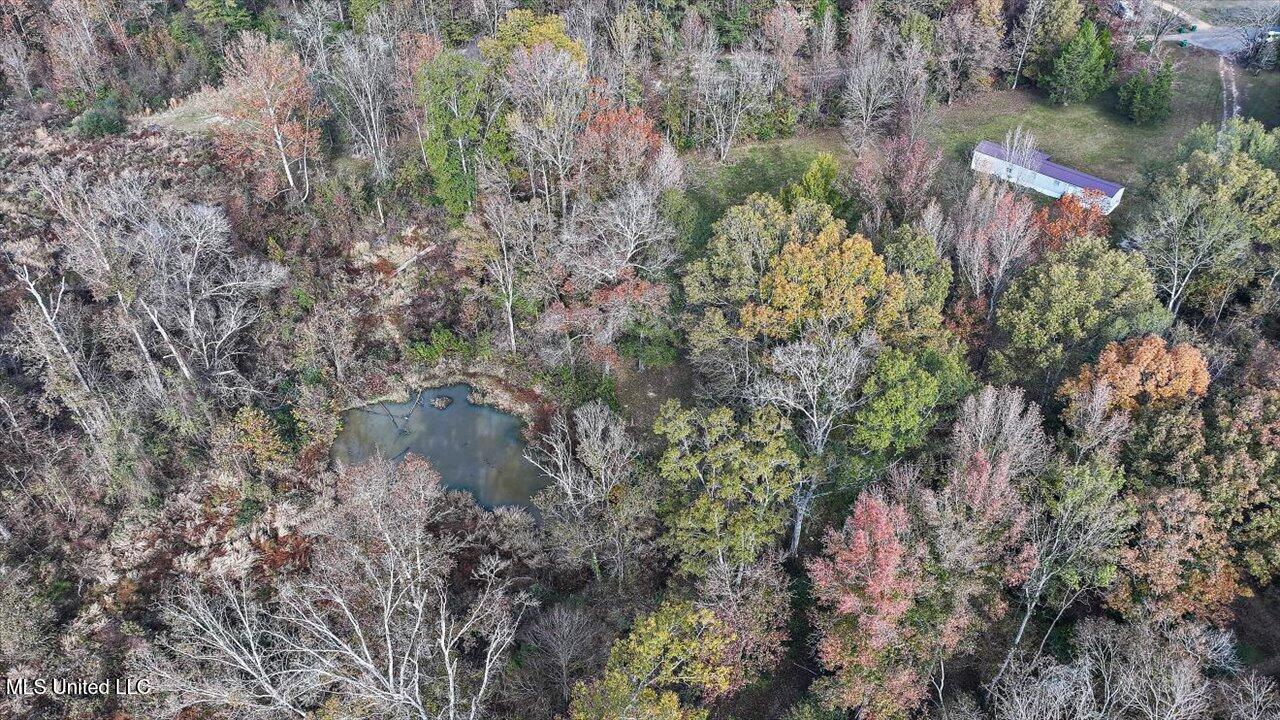 1011 Lake Drive, Raymond, Mississippi image 45