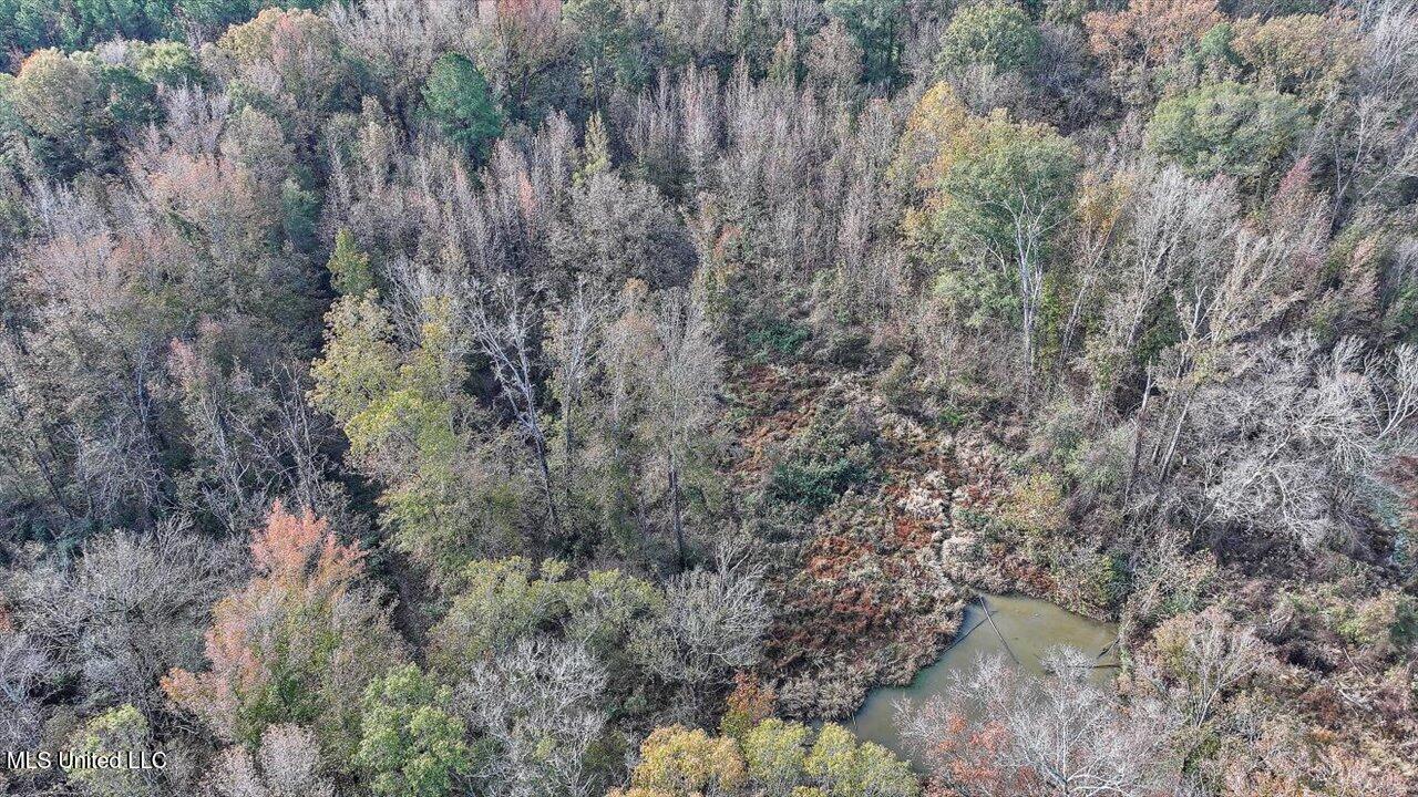 1011 Lake Drive, Raymond, Mississippi image 46