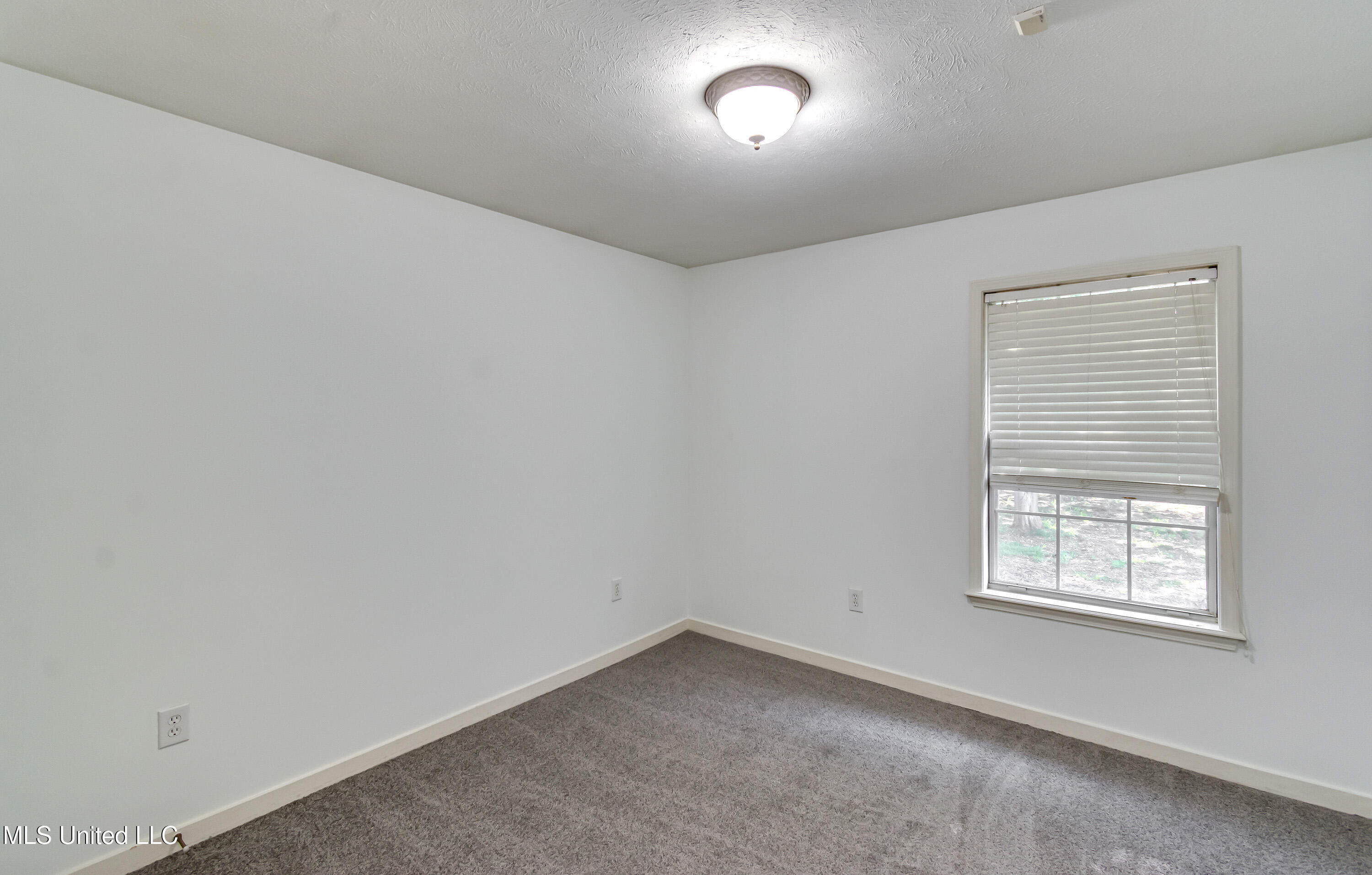 154 Chestnut Drive, Brandon, Mississippi image 47