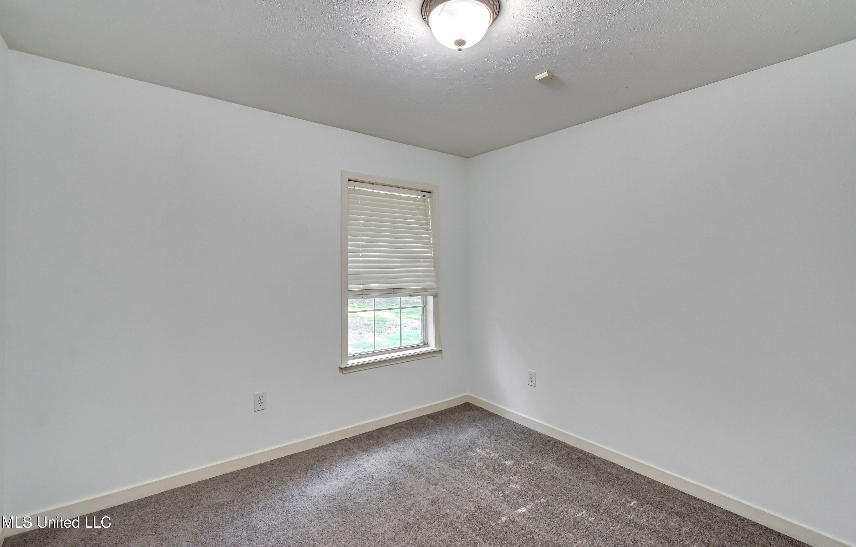 154 Chestnut Drive, Brandon, Mississippi image 50