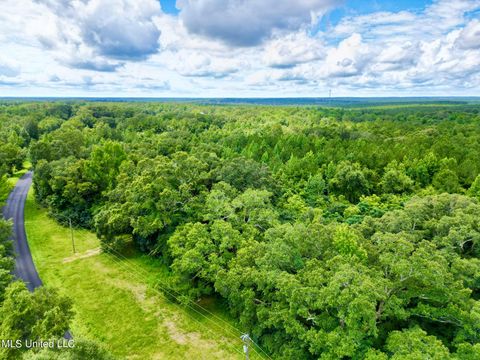 Vacant Land For Sale - 190 Gumpond Beall Road<br/> Lumberton, MS 39455