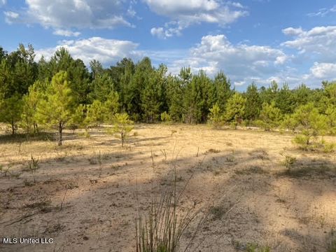 Vacant Land For Sale - 926 Virgin Mary Road<br/> Camden, MS 39045