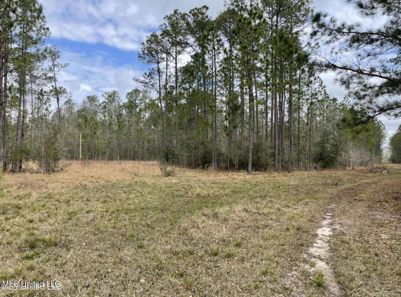 Ms-43 Parcel 1, Kiln, Mississippi image 1