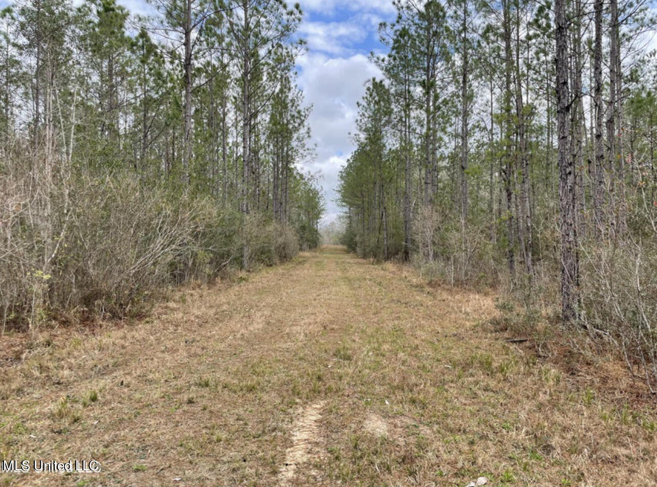 Ms-43 Parcel 1, Kiln, Mississippi image 2