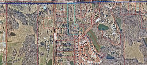 Vacant Land For Sale - 4869 Church Road<br/> Nesbit, MS 38651