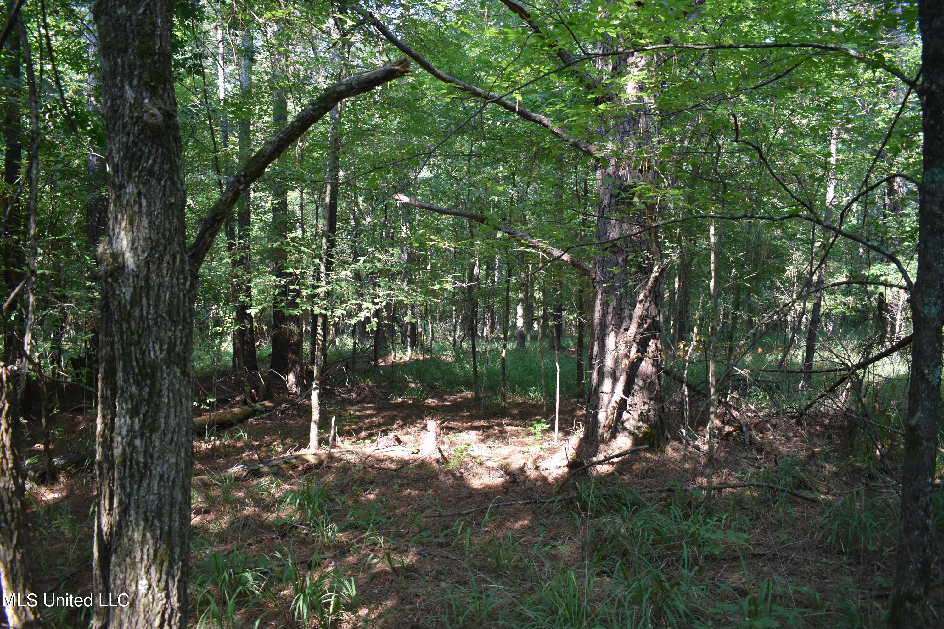 Lot 26 &27 Leonard Lane, Holly Springs, Mississippi image 5