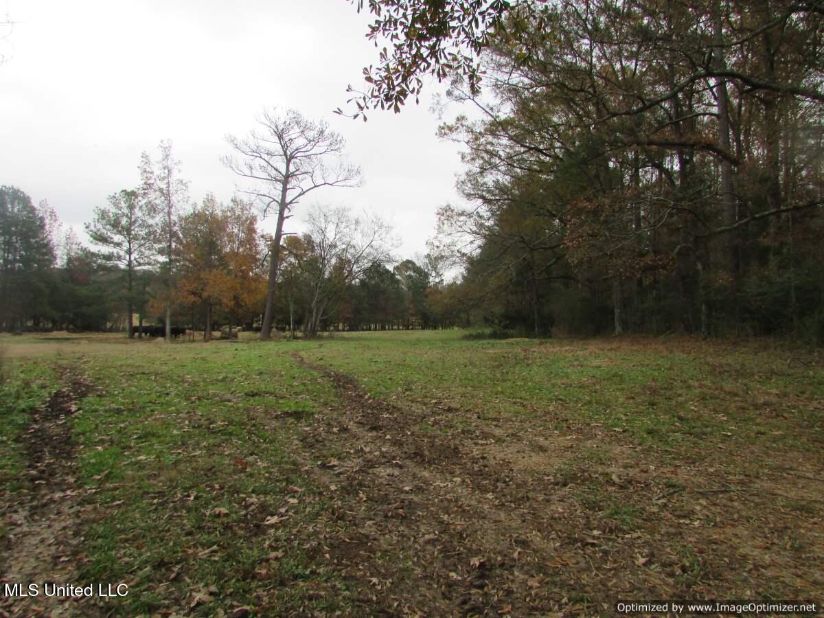 Old Rice Road, Canton, Mississippi image 2