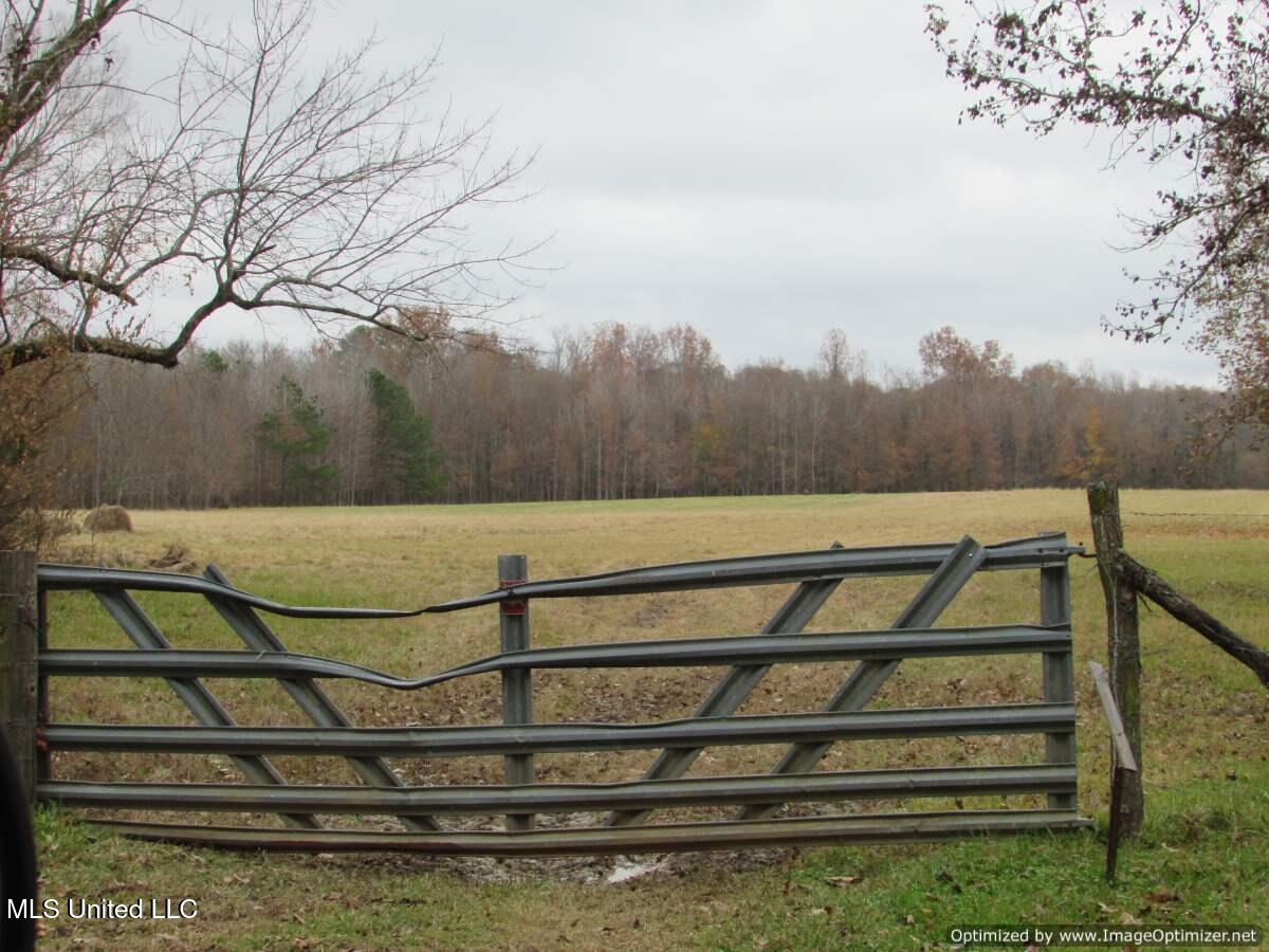 Old Rice Road, Canton, Mississippi image 18