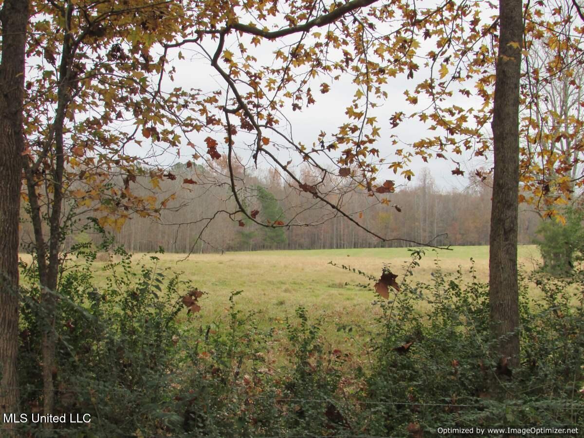 Old Rice Road, Canton, Mississippi image 19