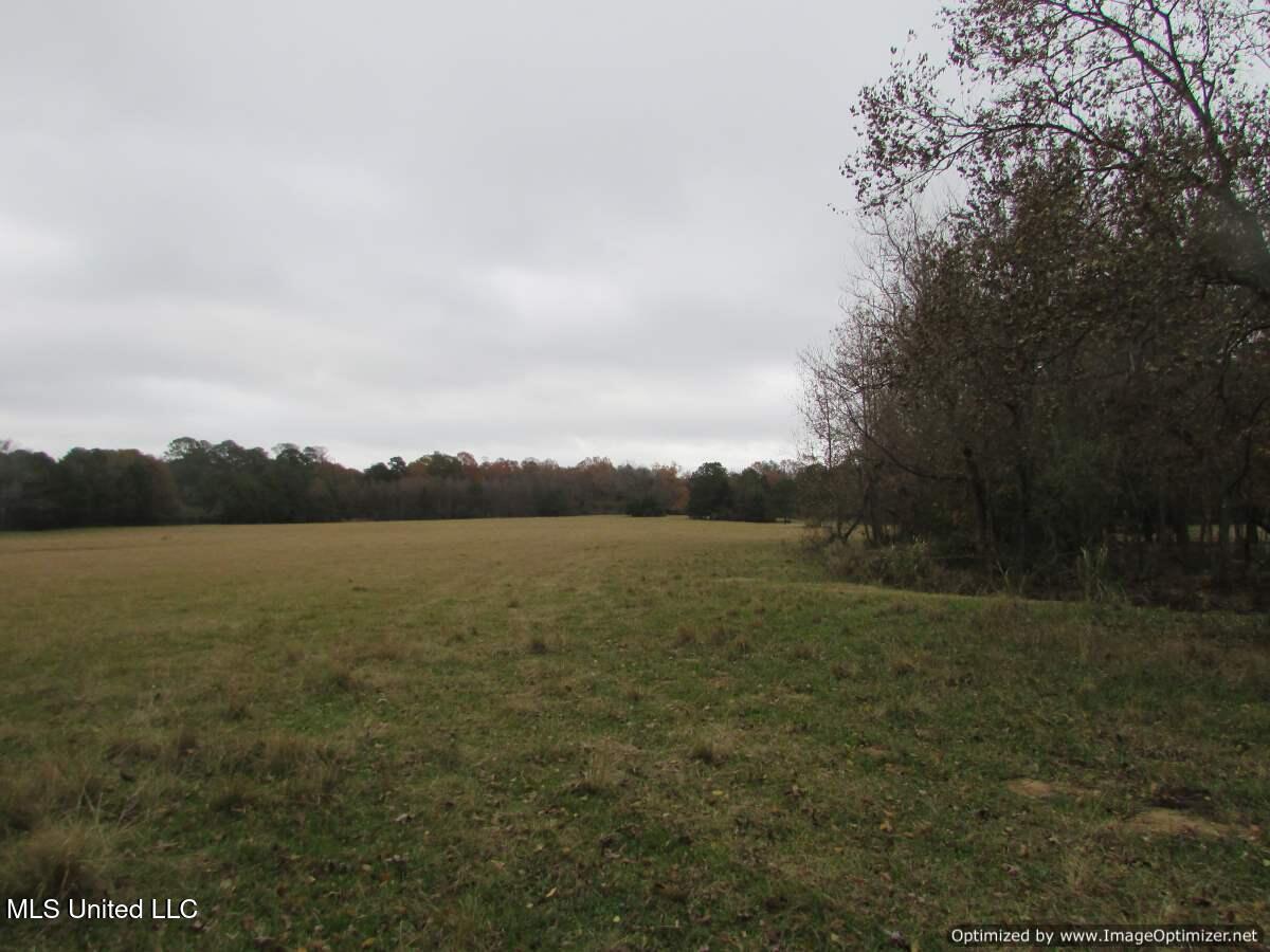 Old Rice Road, Canton, Mississippi image 4