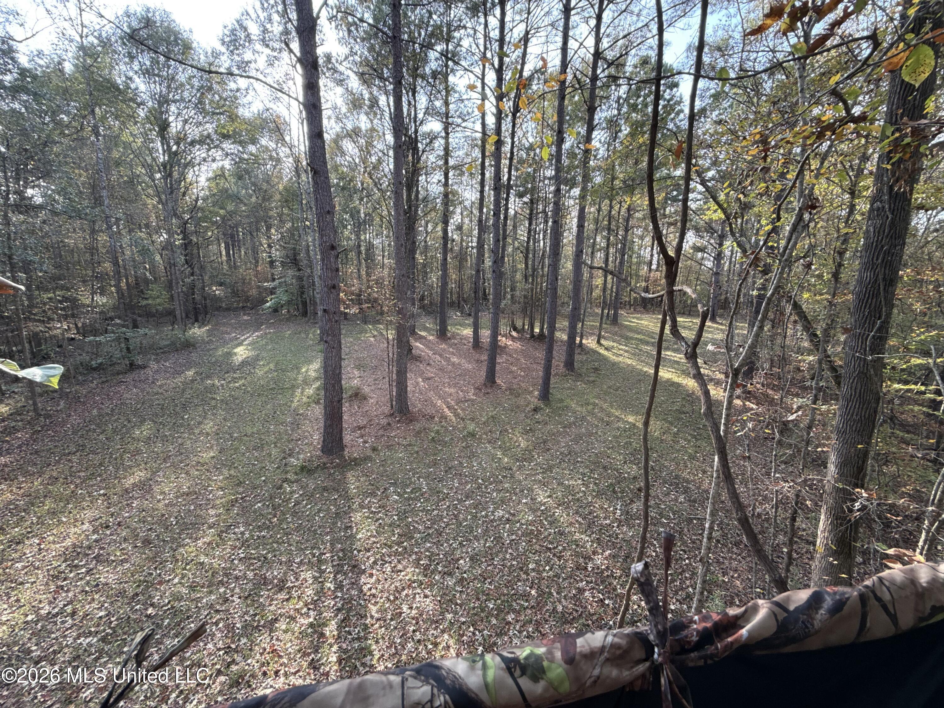 Photo 1 of 31 — 21 Pheasant Road, Roxie, MS 39661