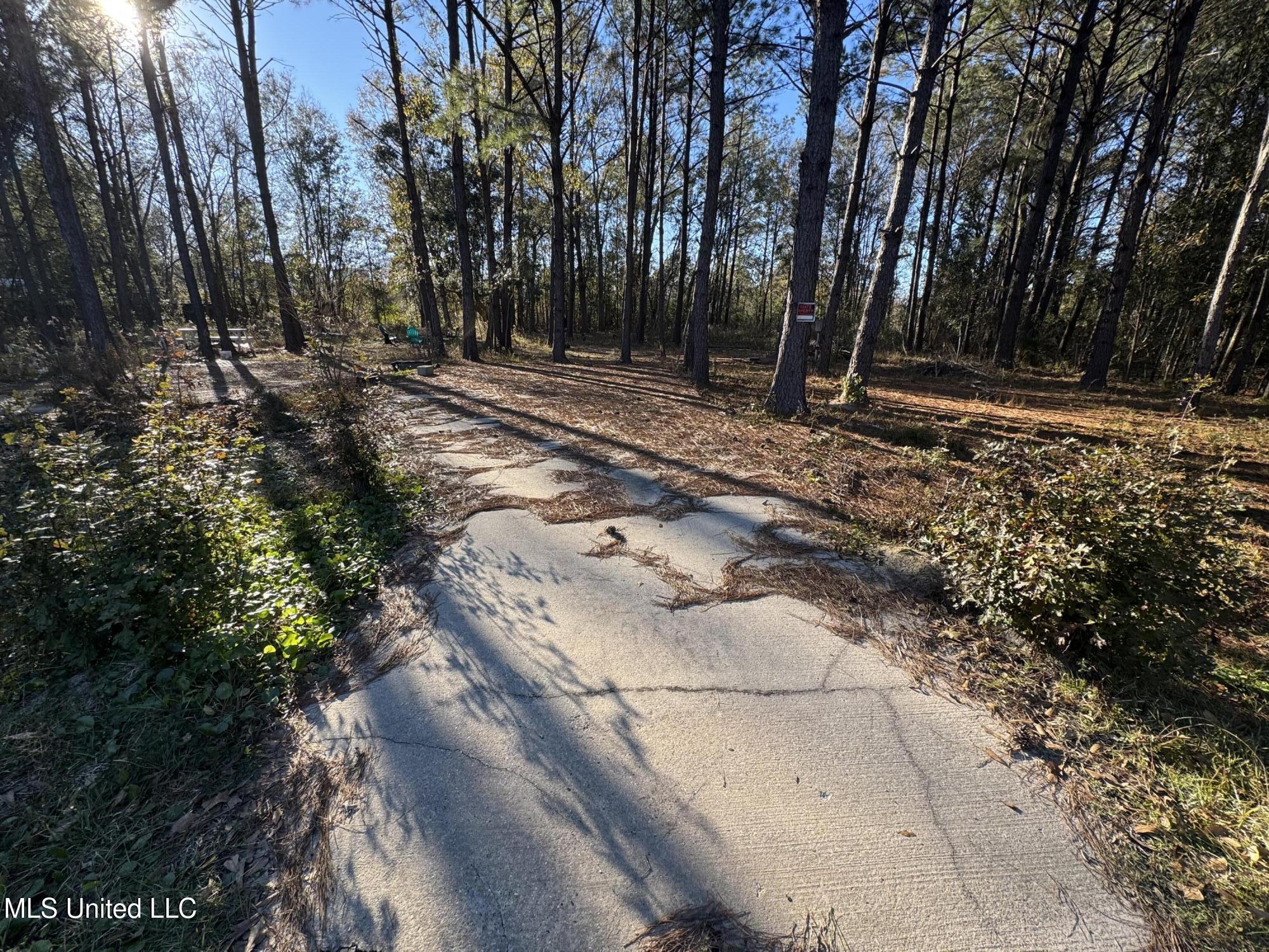 Lepoma Ave Avenue, Biloxi, Mississippi image 2